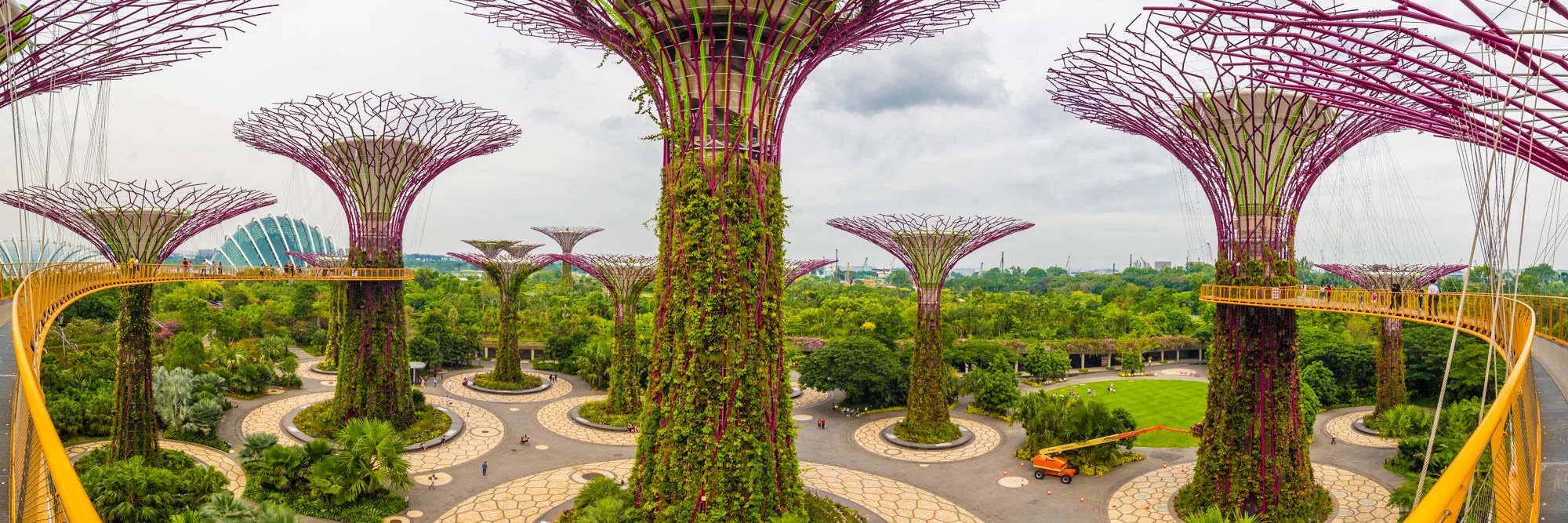 LDKphoto - Singapore - Supertree - 02.jpg