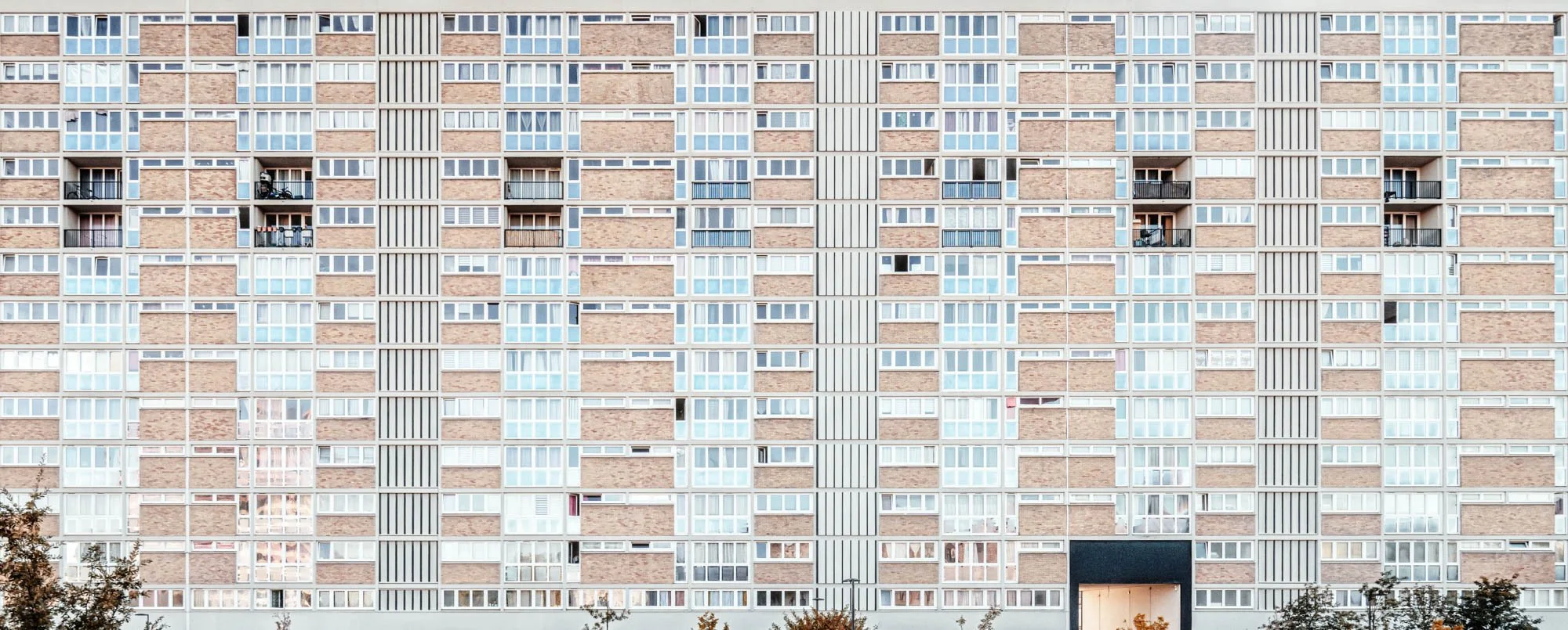 LDKphoto - Os à Moelle-01.jpg