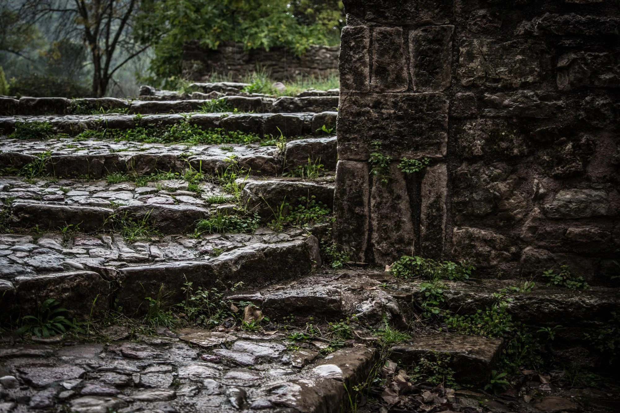 LDKphoto-Abbaye du Thoronet-32.jpg