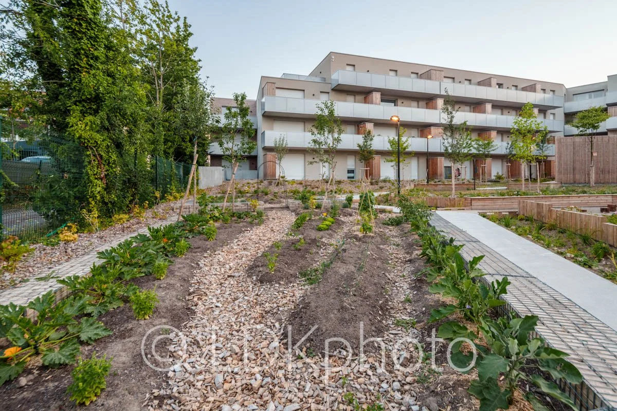 LDKphoto - RELIEF - Pilaterie-37.jpg