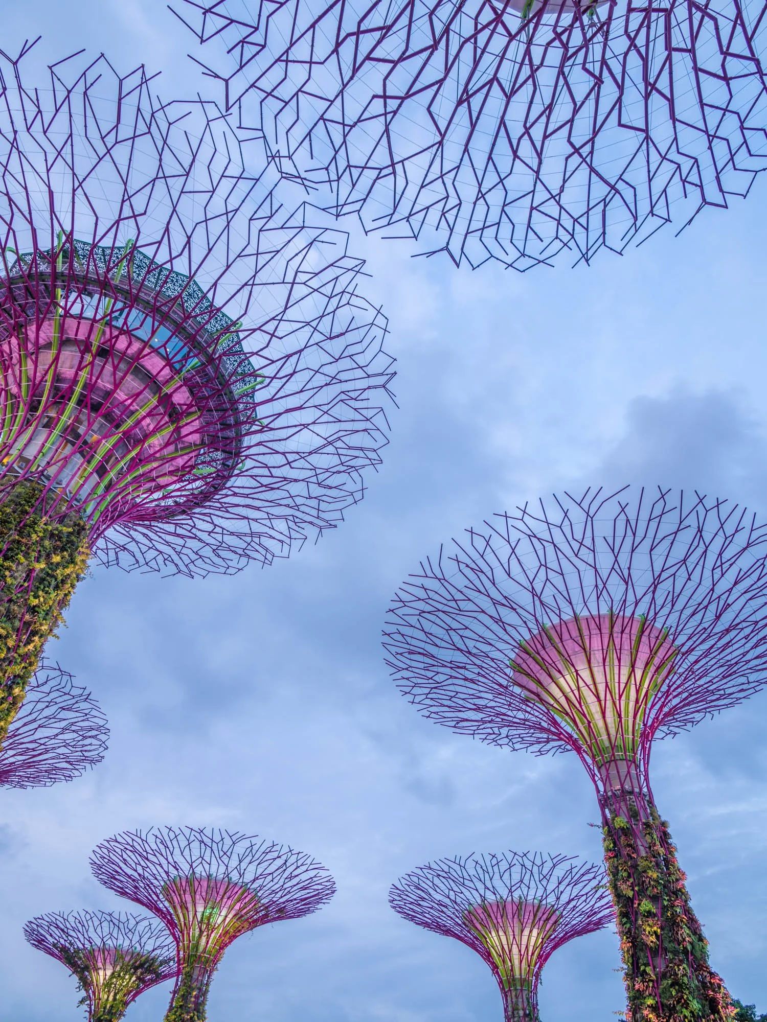LDKphoto - Singapore - Supertree - 15.jpg