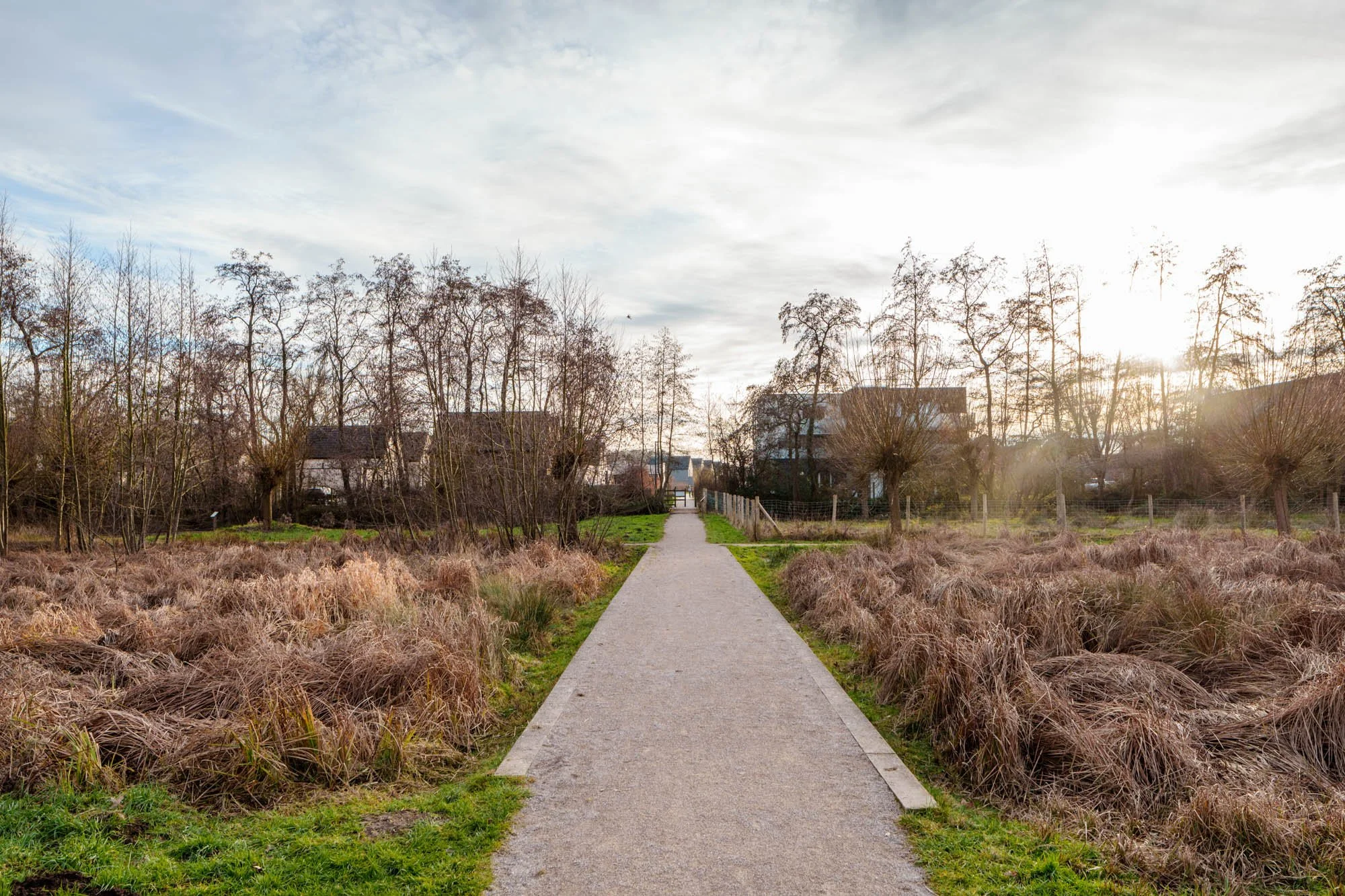 LDKphoto-Hornoy- Sainghin en Mélantois-49.jpg