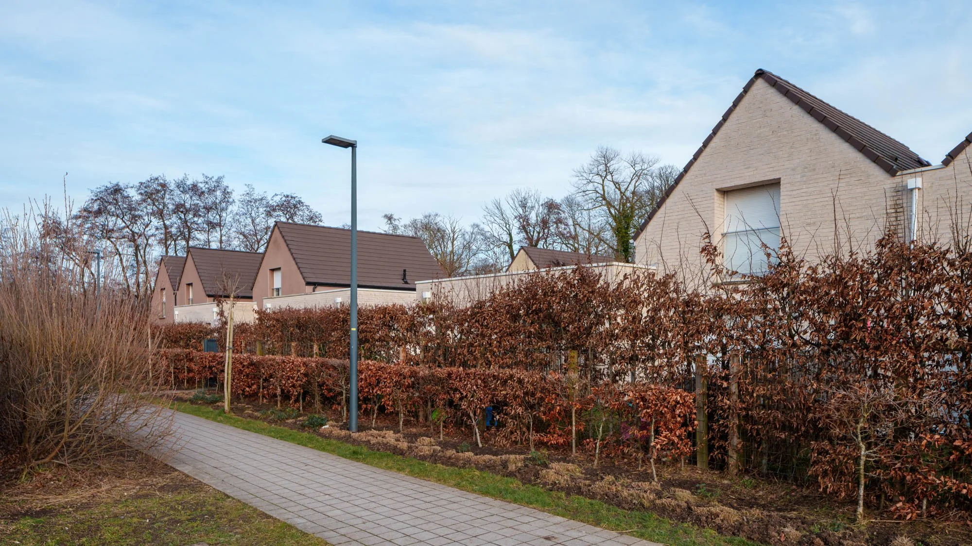 LDKphoto-Hornoy- Sainghin en Mélantois-11.jpg