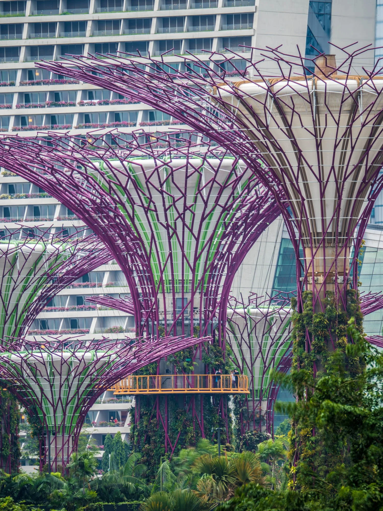 LDKphoto - Singapore - Supertree - 04.jpg