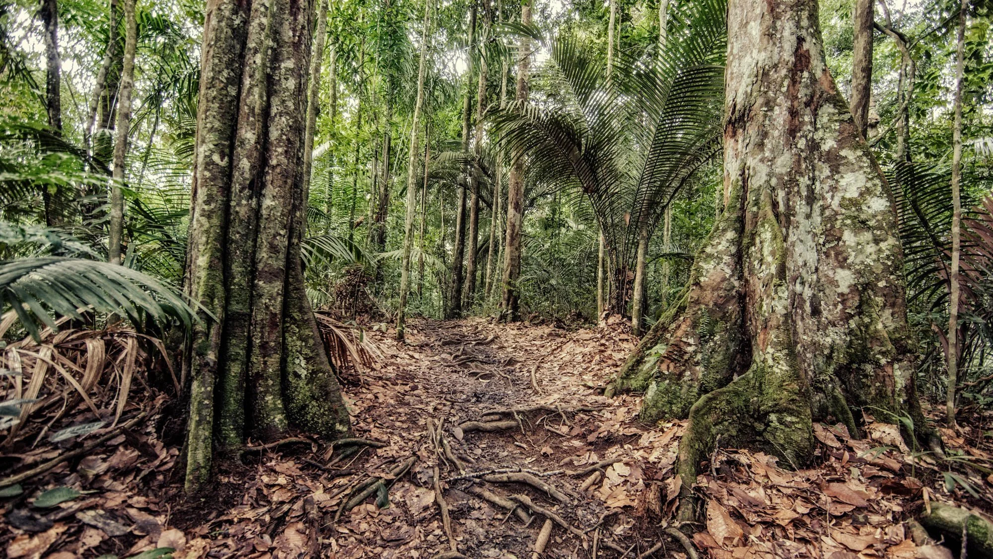 LDKphoto-Back to Guyanna-58.jpg