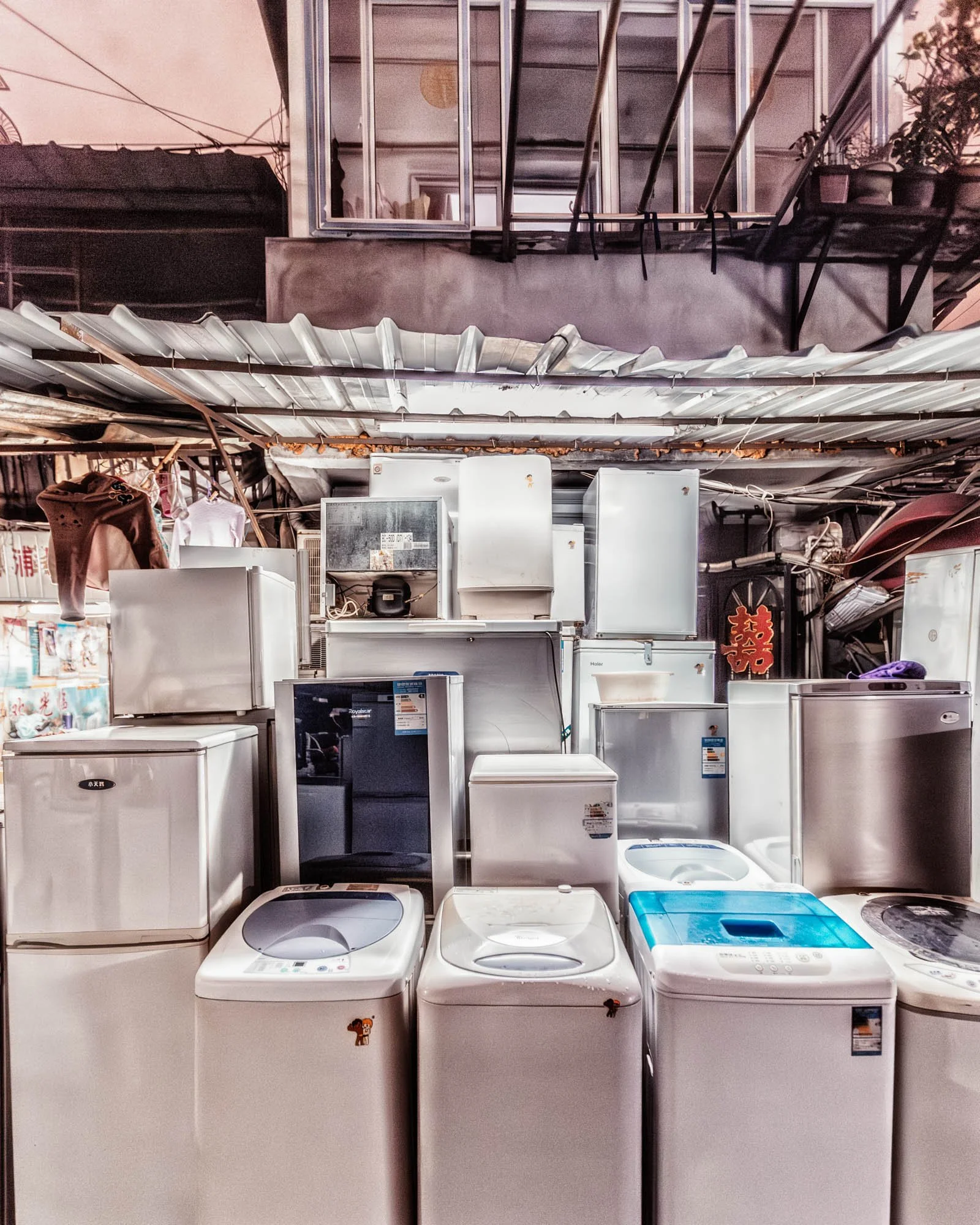 LDkphoto - SHANGHAI-2026-56.jpg