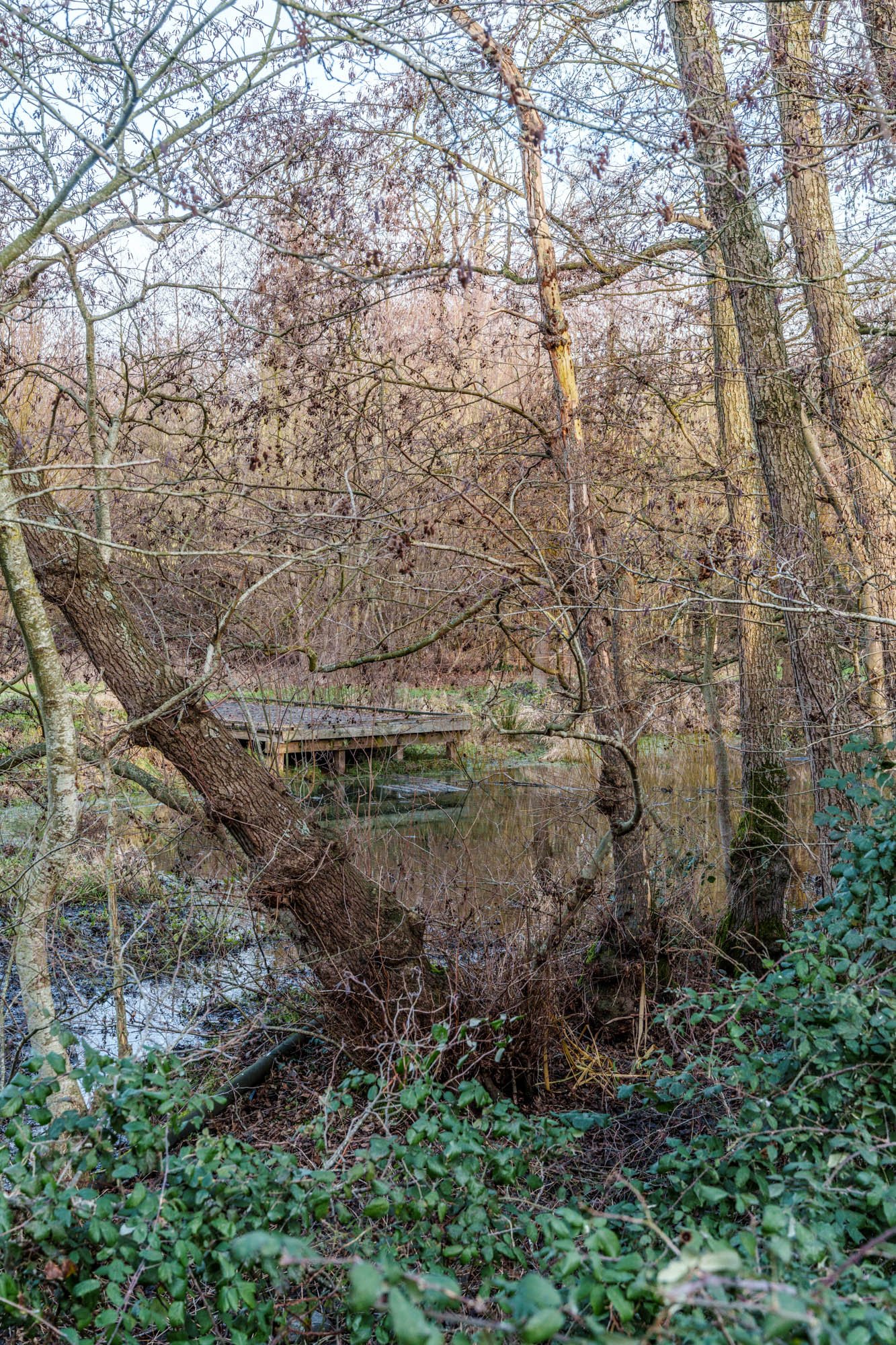 LDKphoto-Hornoy- Sainghin en Mélantois-58.jpg