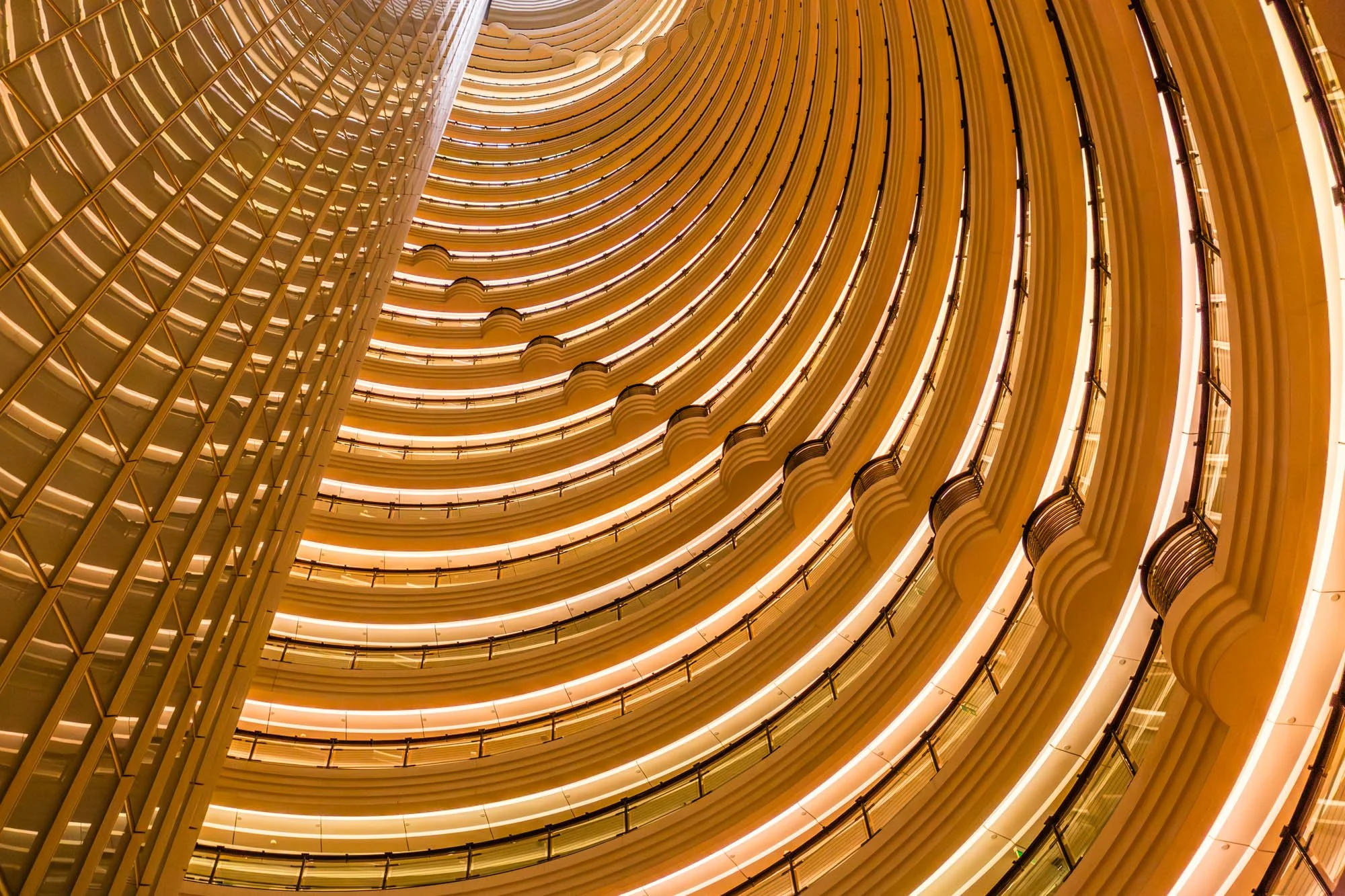 LDkphoto - SHANGHAI-2026-60.jpg