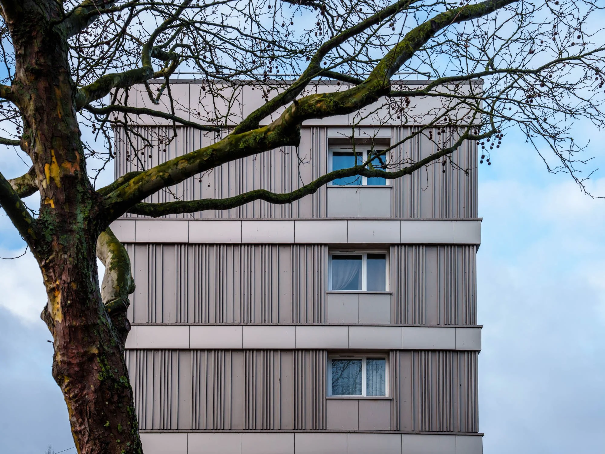 LDKphoto-Hornoy- Bd des Couteaux-1.jpg