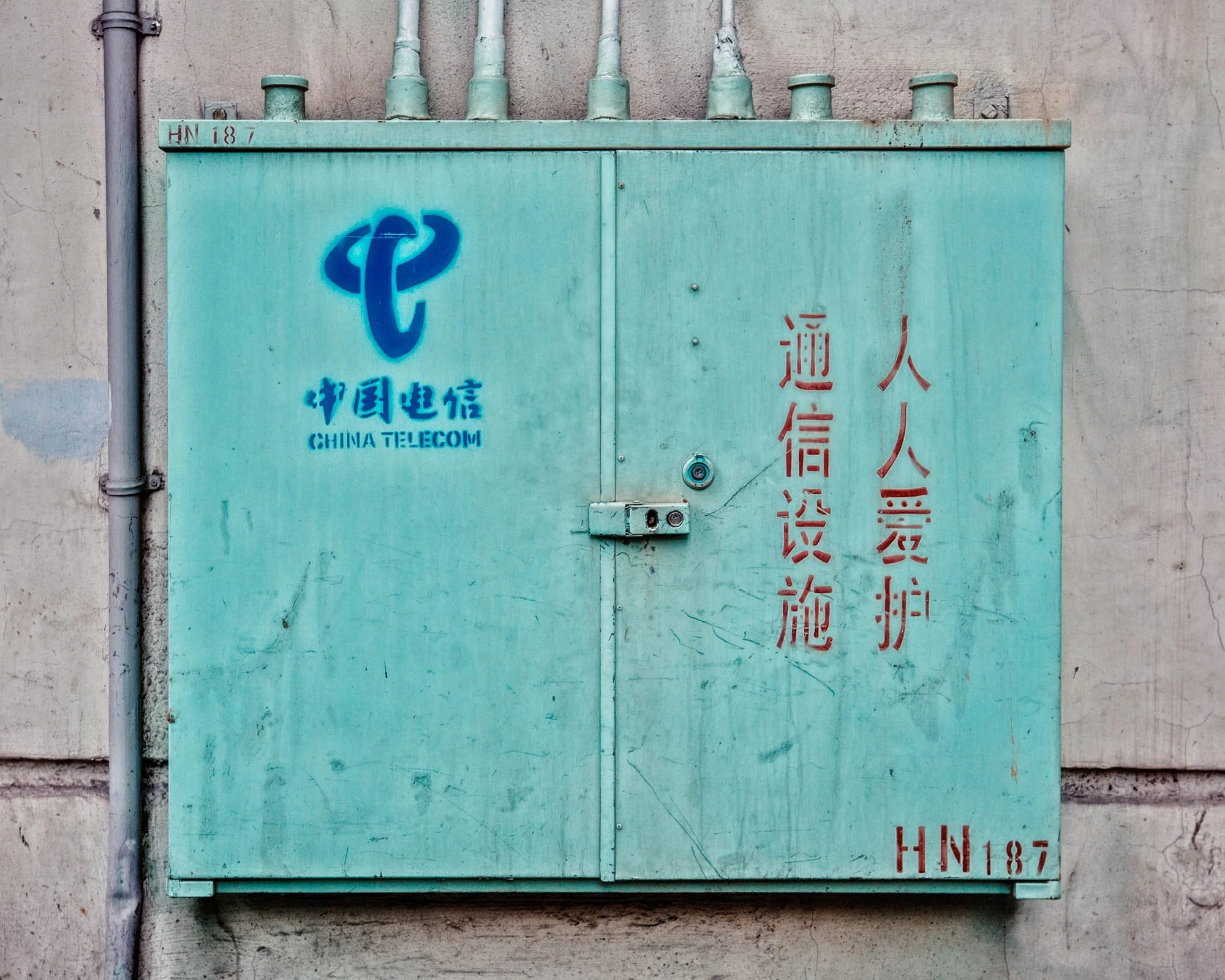 LDkphoto - SHANGHAI-2026-48.jpg