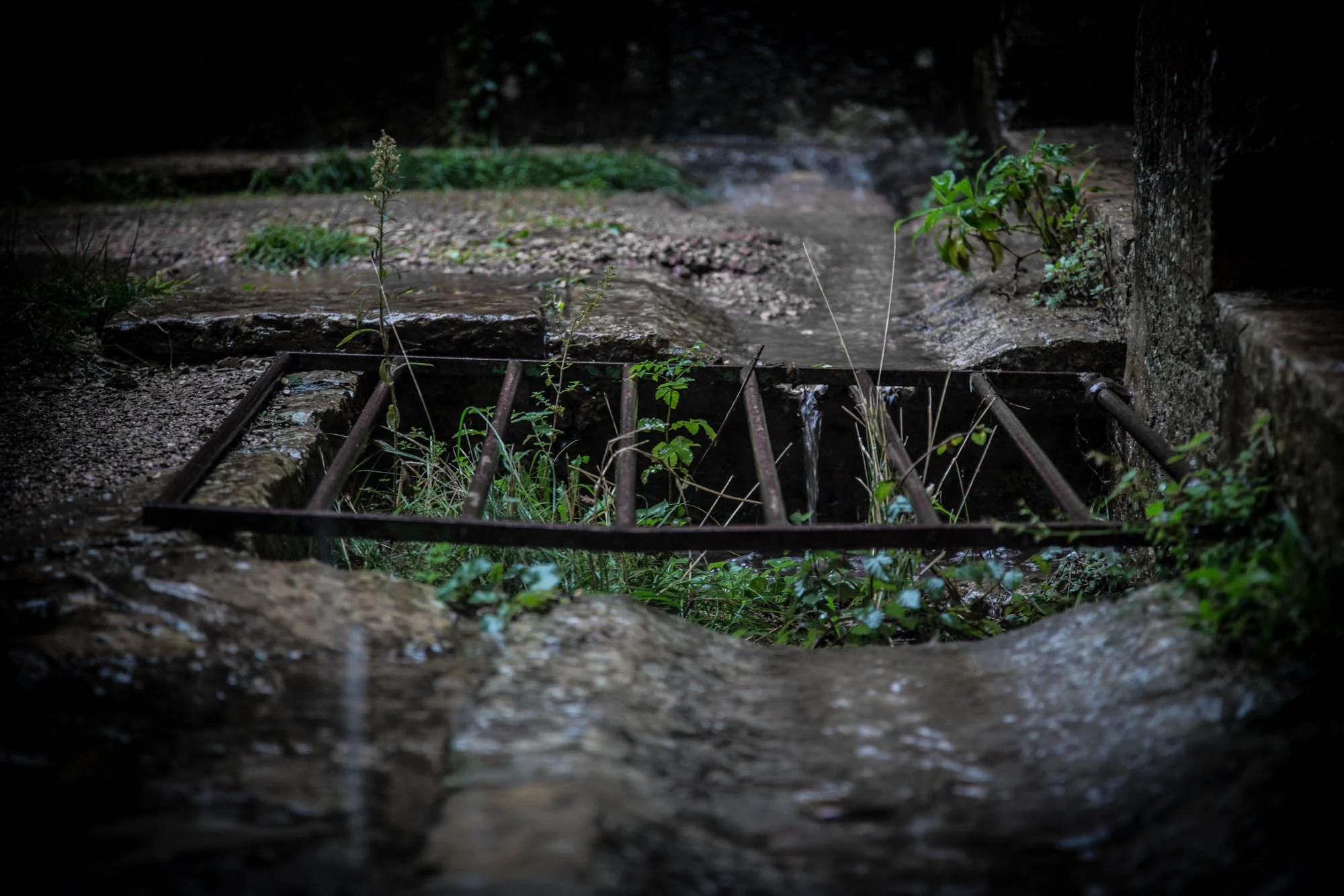 LDKphoto-Abbaye du Thoronet-27.jpg