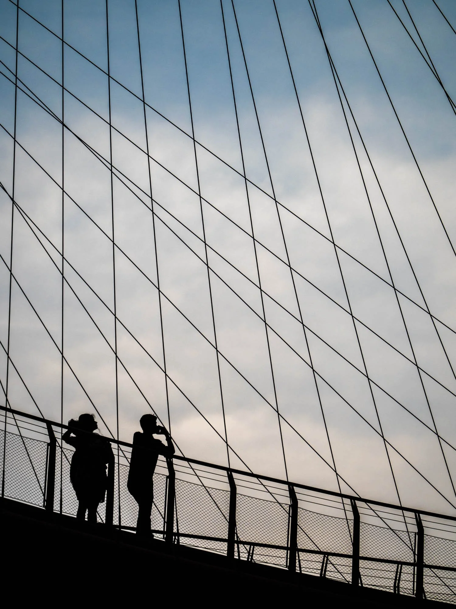 LDKphoto - Singapore - Supertree - 14.jpg