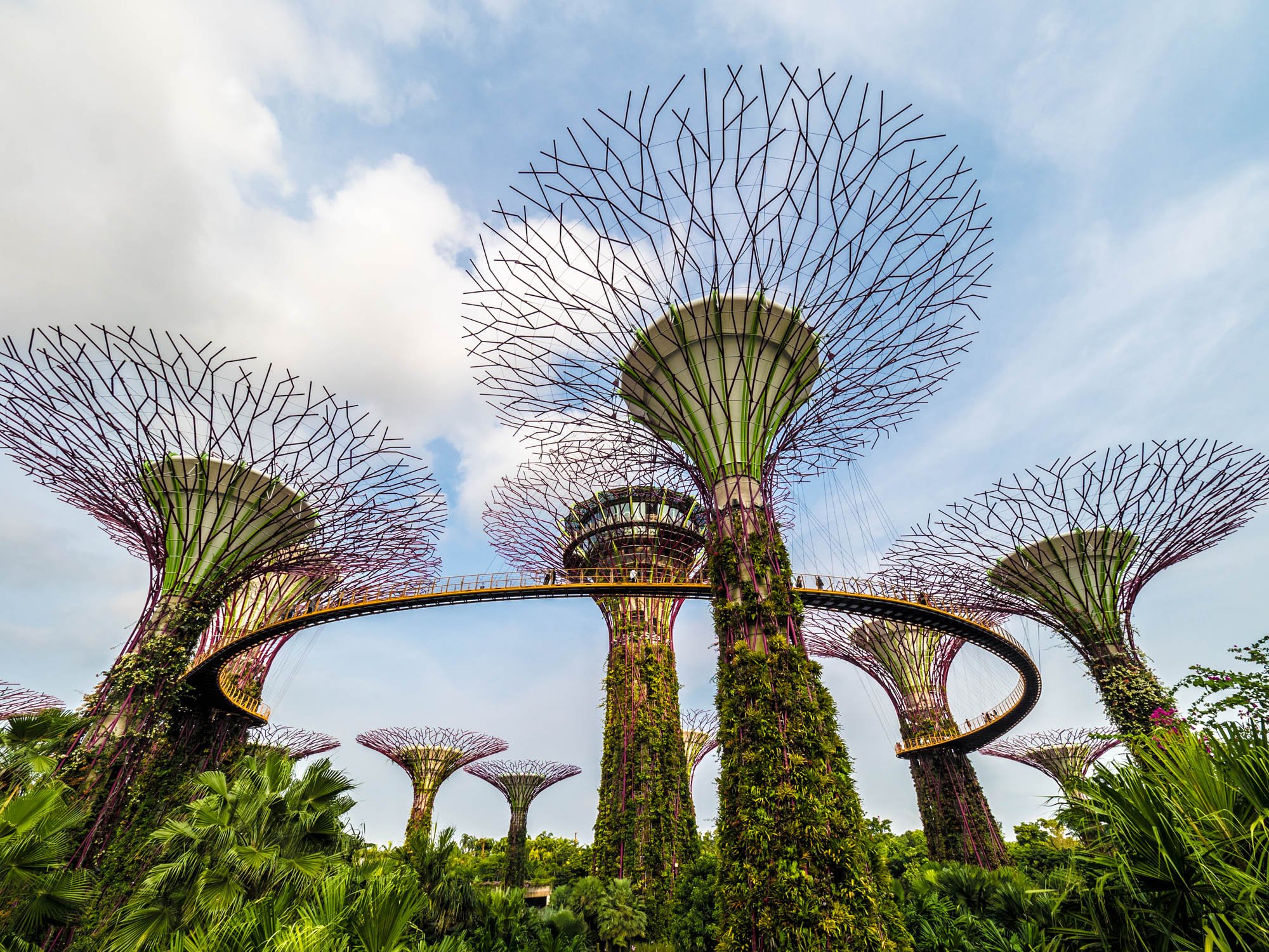 LDKphoto - Singapore - Supertree - 12.jpg