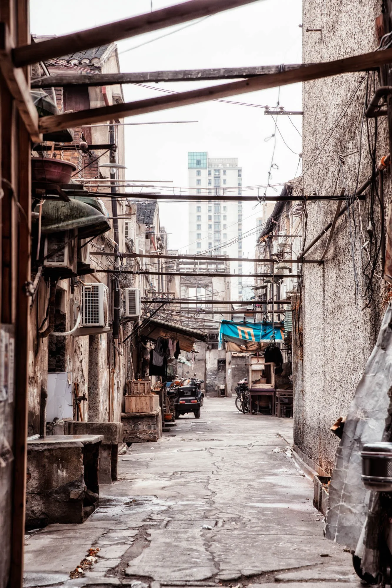 LDkphoto - SHANGHAI-2026-23.jpg