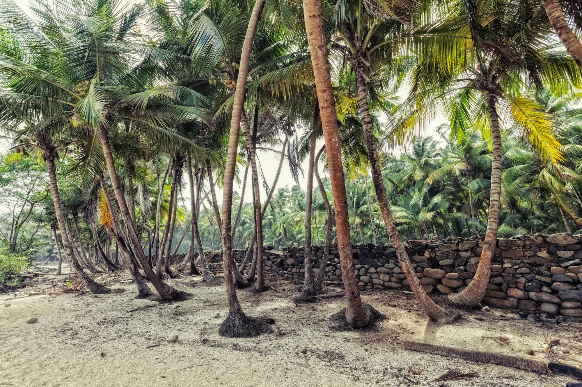 LDKphoto-Back to Guyanna-92.jpg