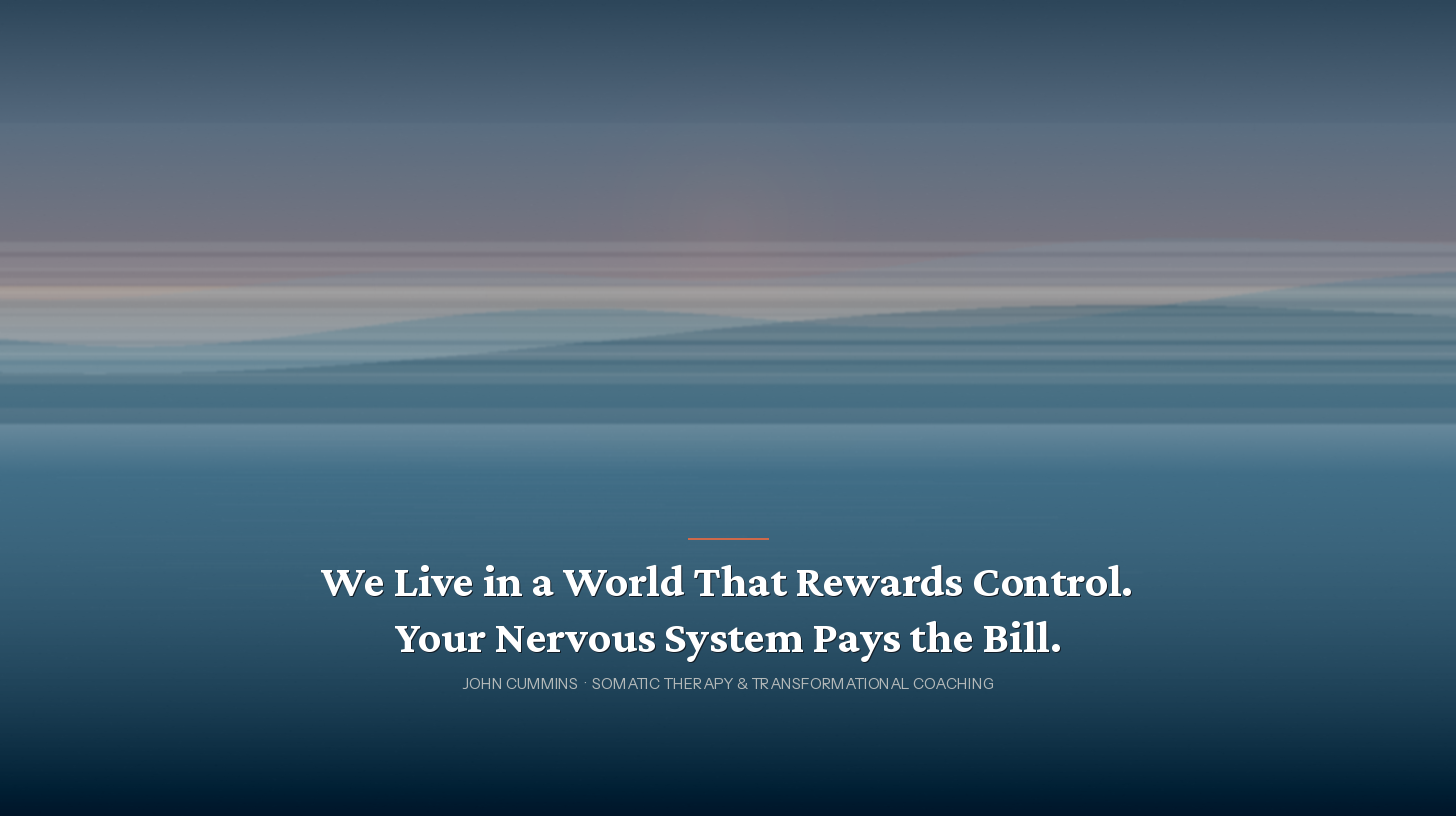 We Live in a World That Rewards Control. Your Nervous System Pays the Bill.