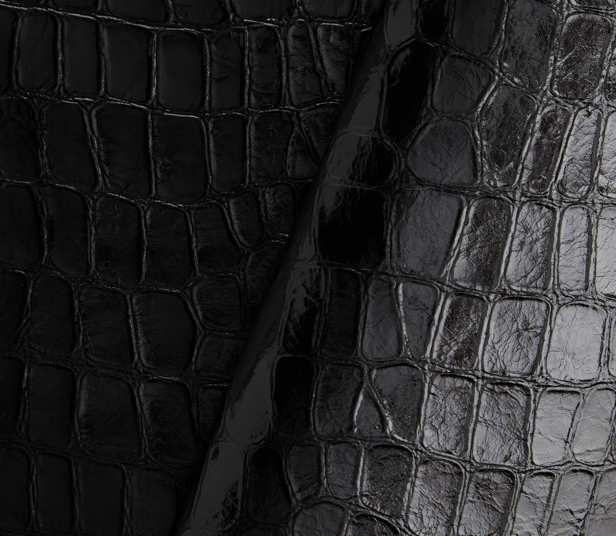 Black alligator print