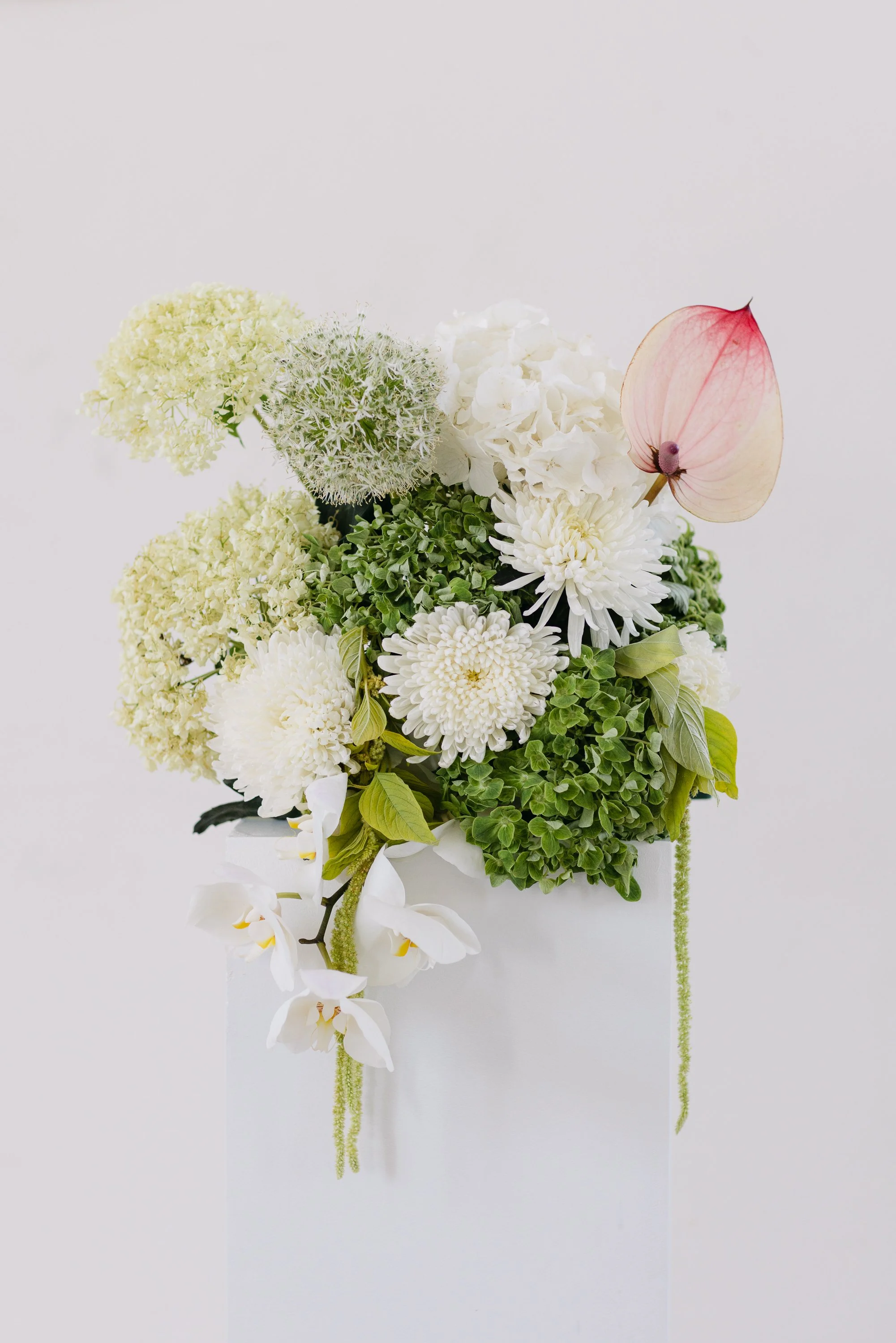 Vaser med vita, gröna och rosa blommor och gröna blad på en vit bakgrund.