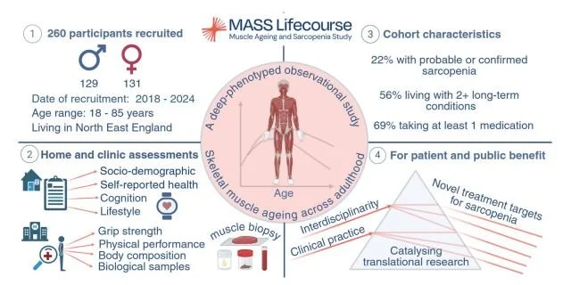 Developing resources that advance understanding of skeletal muscle ageing