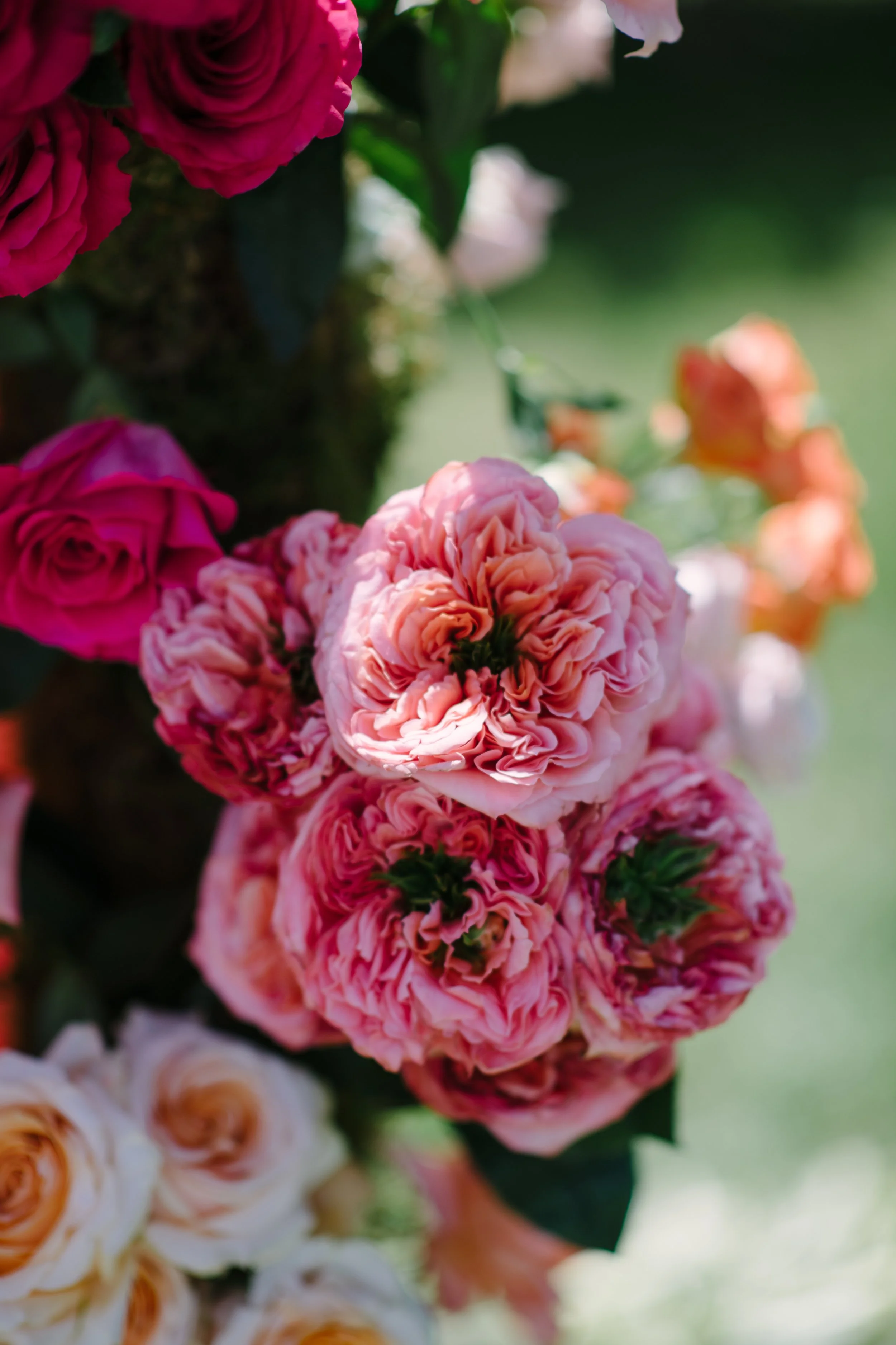 Fuchsia Pink roses bouquet