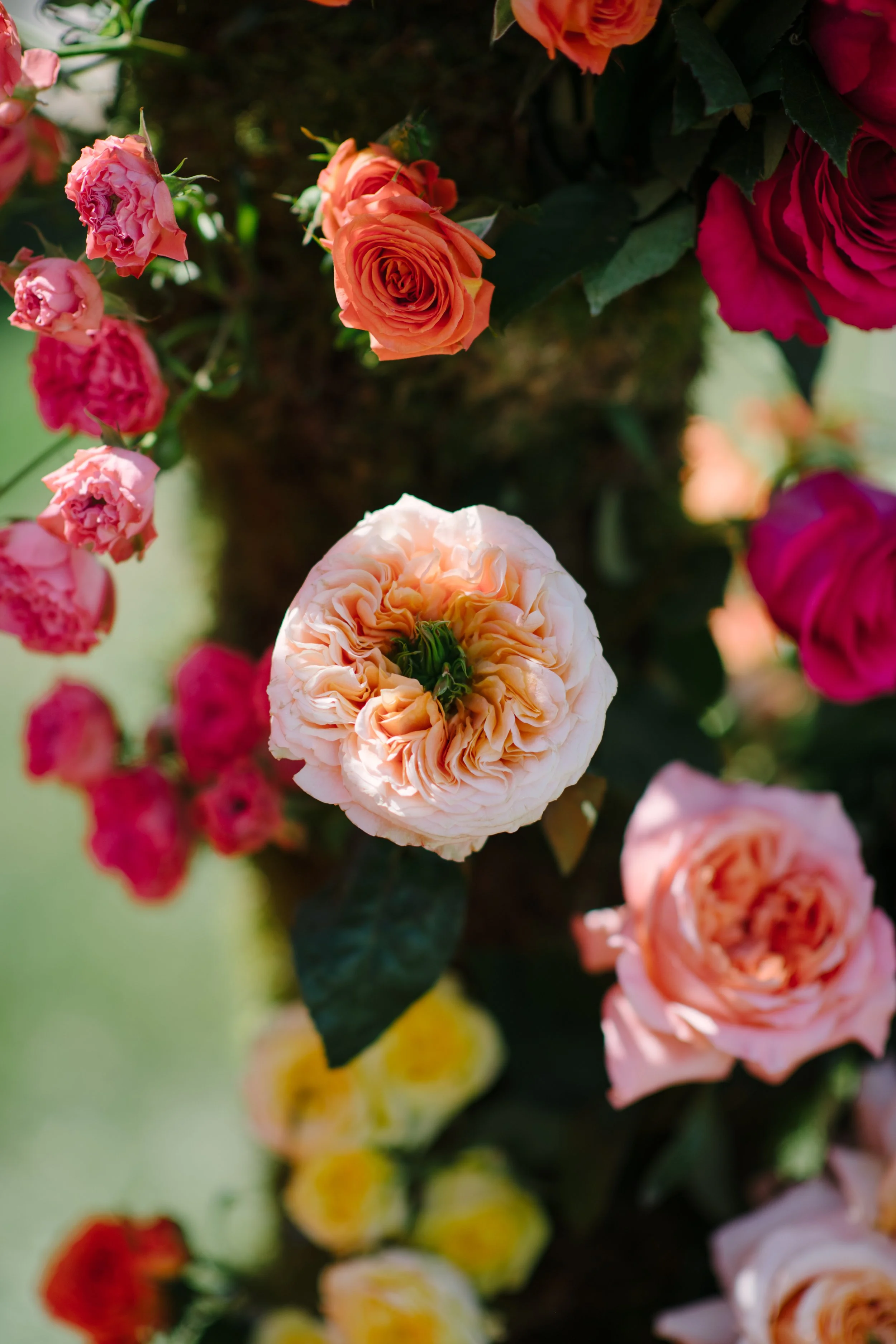 Peach and Pink roses bouquet