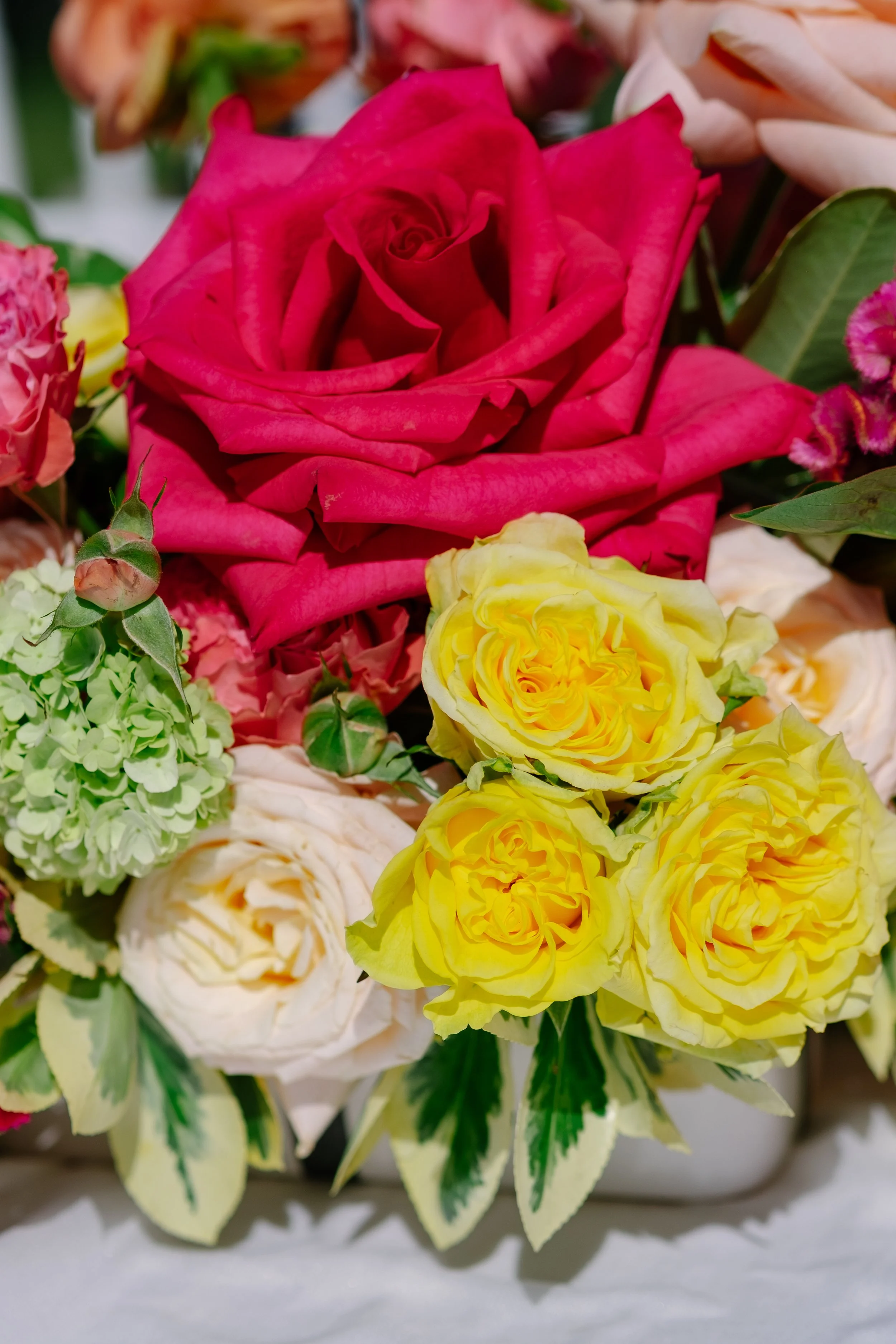 Fuchsia and yellow roses