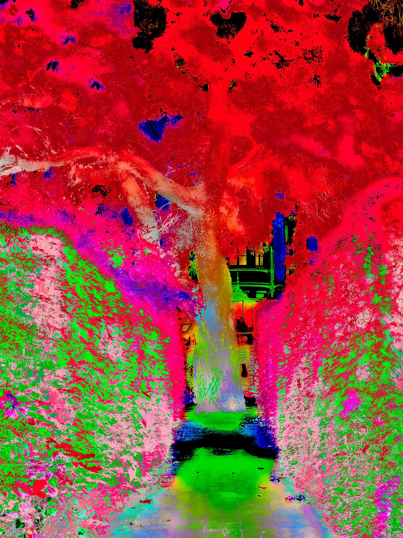 50-20250625_131513.jpg