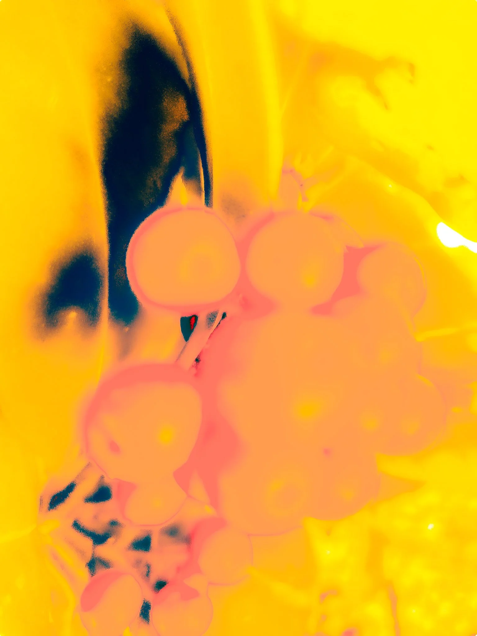 39-20250114_123636(0).jpg