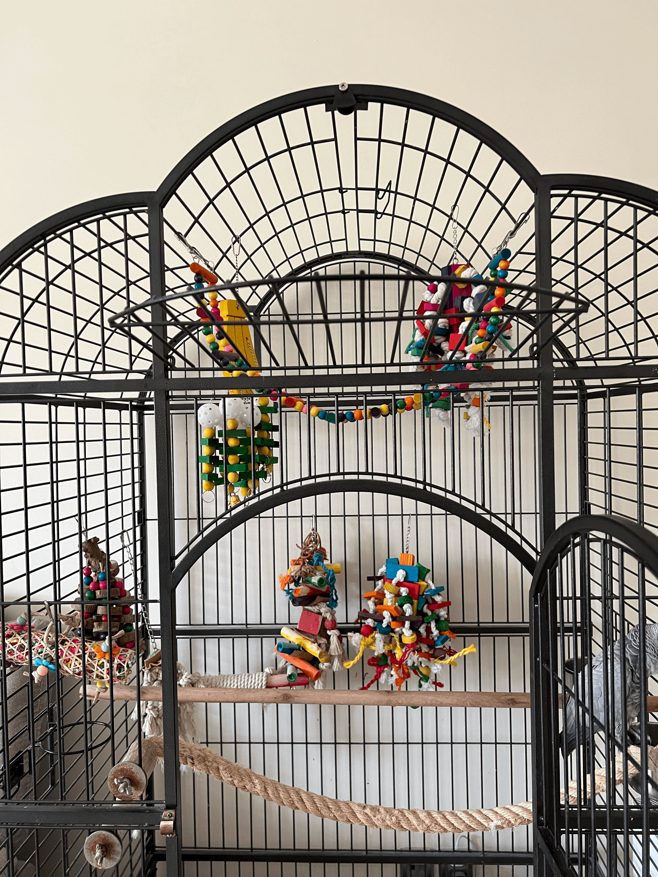 Choosing The Correct Toys For Your Bird