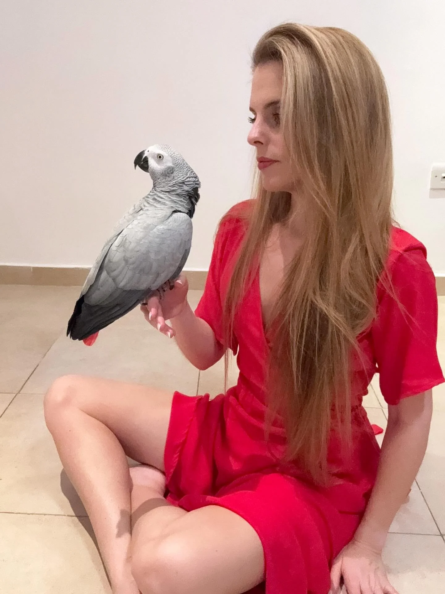 @hellogooseofficial feel free to reach out if you have any questions on training and behaviour of your birds. We would love to hear from you! #parrot #bird #africangrey #pet #aviancare #parrotbehavior #birdtraining