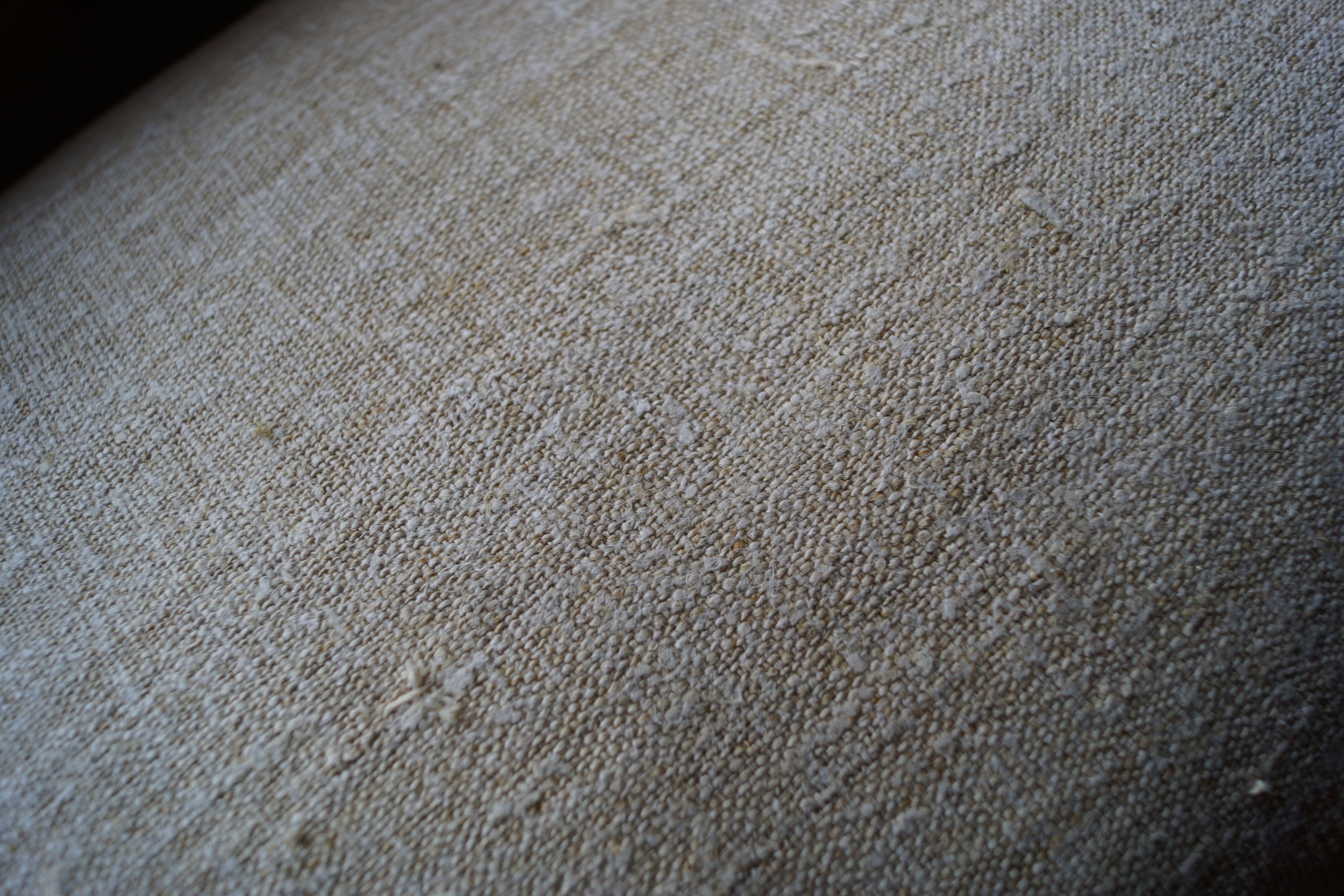 DSC02058.jpeg