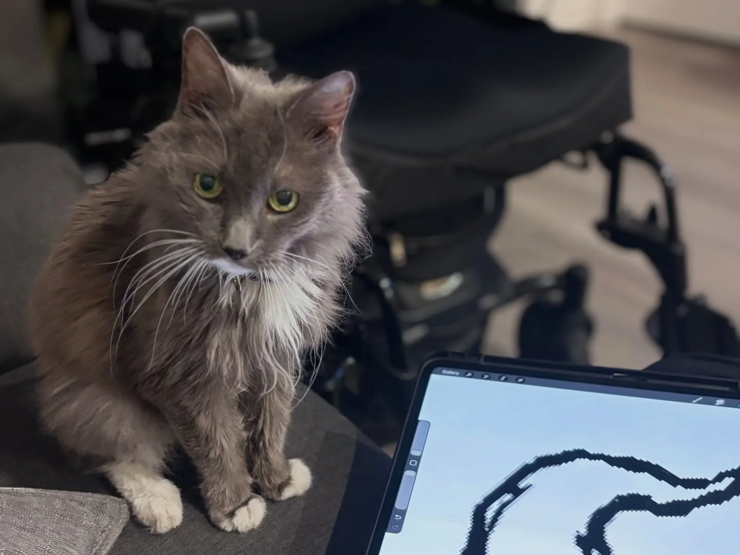 Morgana has taken it upon herself to oversee my latest Redbubble designs.
I&rsquo;m currently working on a new International Women&rsquo;s Day collection and she has&hellip; thoughts. Strong ones by the looks of it.