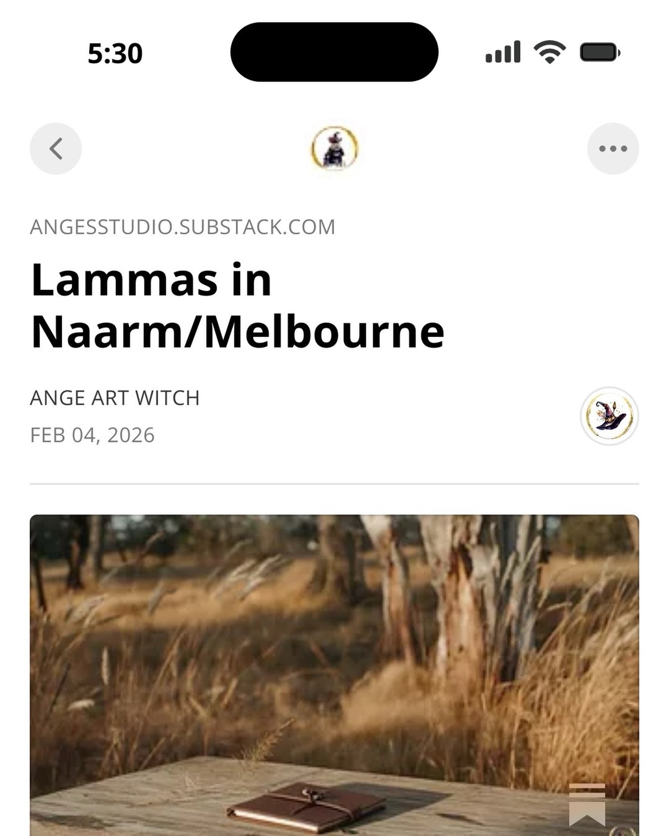 The wheel turns&hellip; but not always in the way we&rsquo;ve been taught.

Lammas in the Northern tradition.
Waring here in Naarm.

I&rsquo;m sitting with the tension between the two and what it means to work cyclically, locally, consciously.

New p
