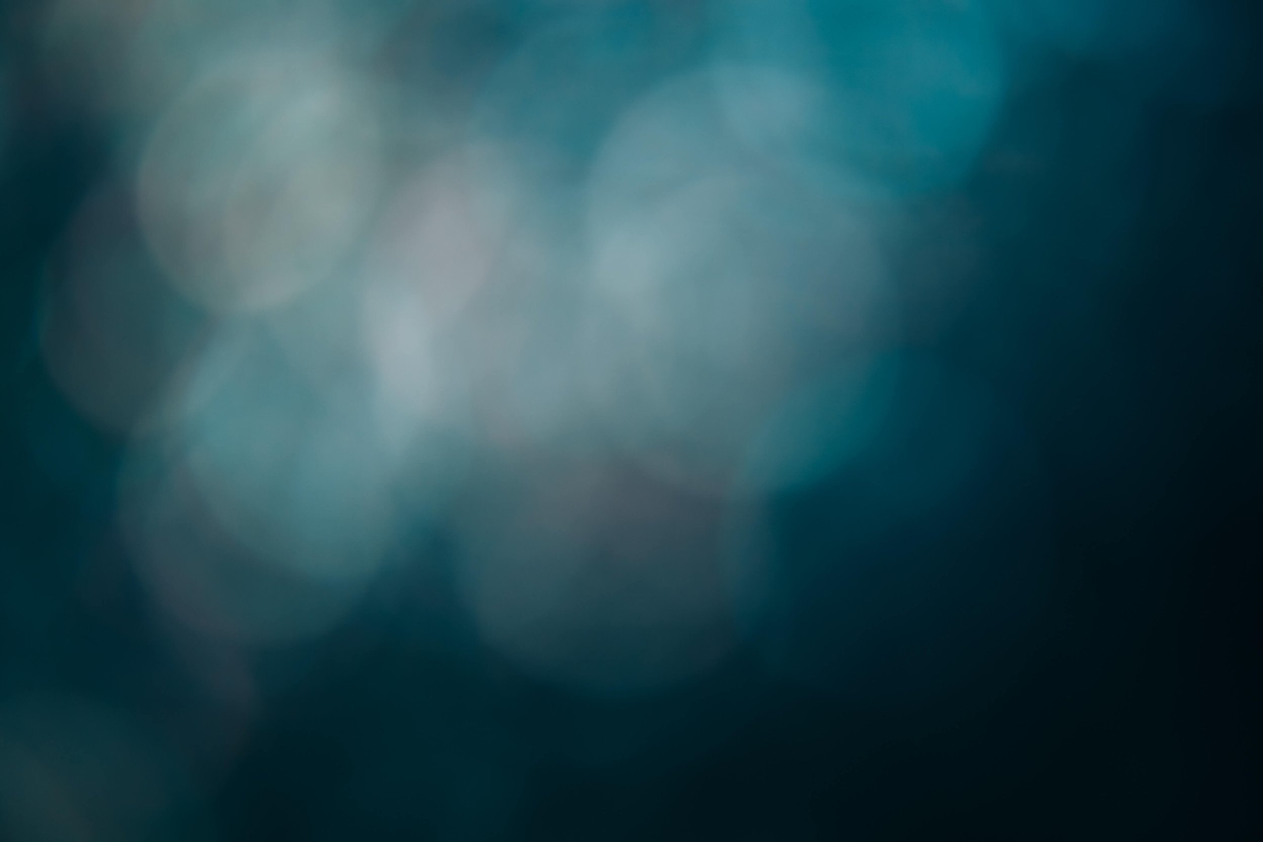 EU VAT update: Political agreement on ViDA Directive