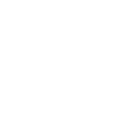 connected people icon