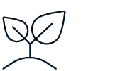 budding plant icon