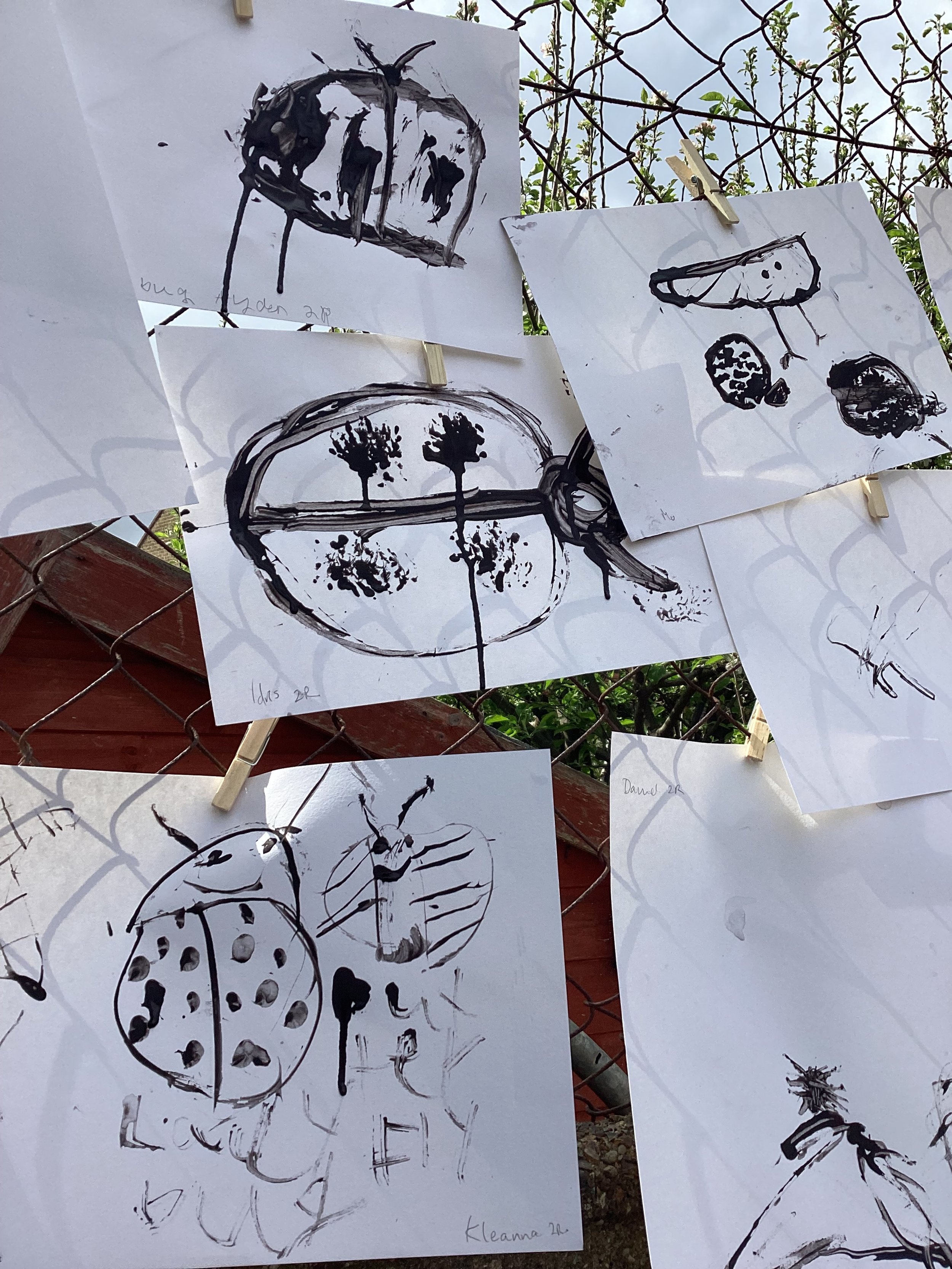 Wildlife Garden workshop 01 - Year 2 & 3.jpeg