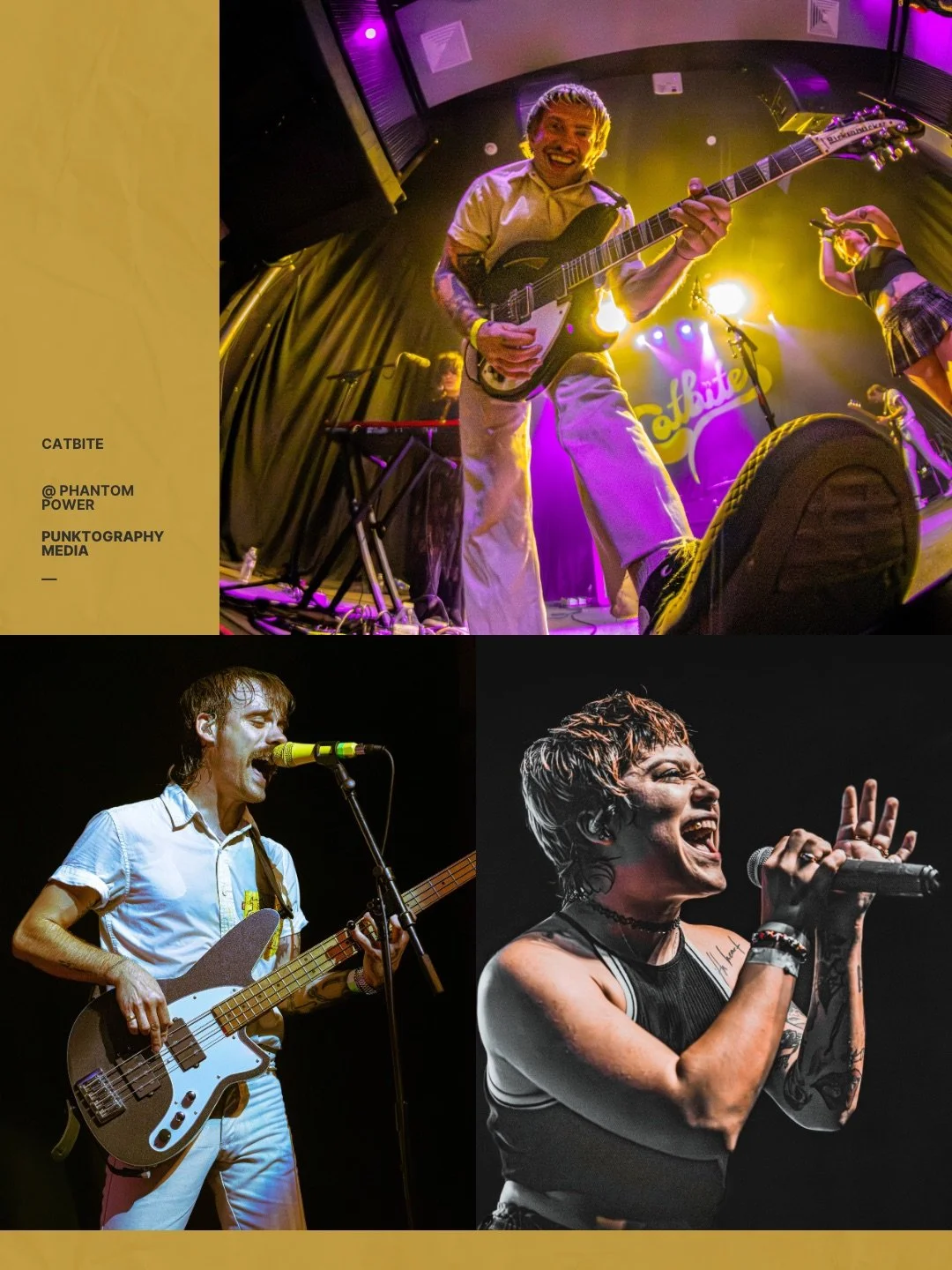 Photographs of three performers during a live music concert. The top image shows a man playing an electric guitar on stage. The bottom left image features a person singing into a microphone while playing an electric bass guitar. The bottom right image depicts a woman singing passionately into a microphone.