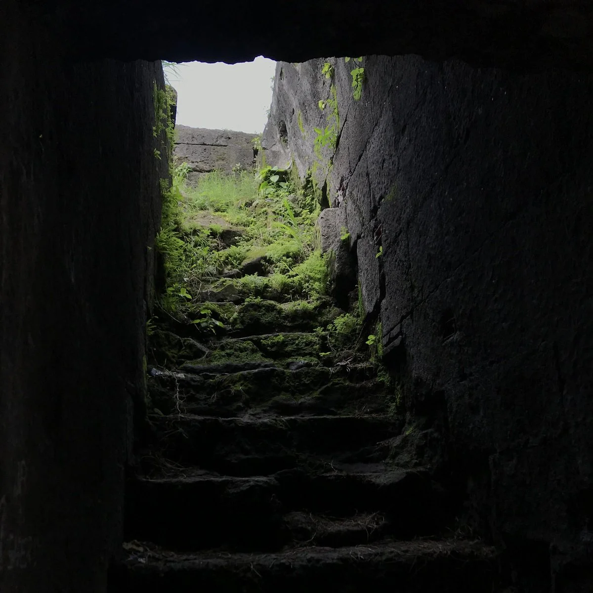 PK Flyer: Settle Down (2023)