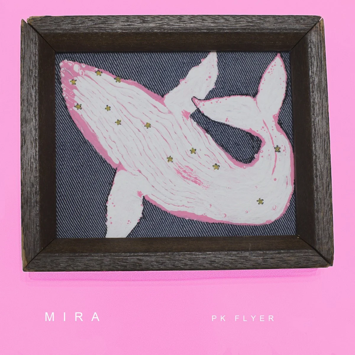 PK Flyer: MIRA (2020)