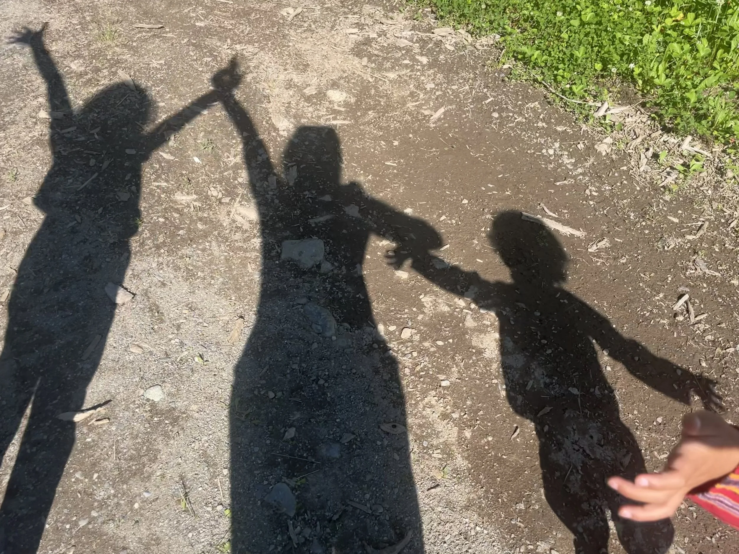 Shadows of three people and a child's hand holding a leash in a dirt and grass area with some greenery on the right side.