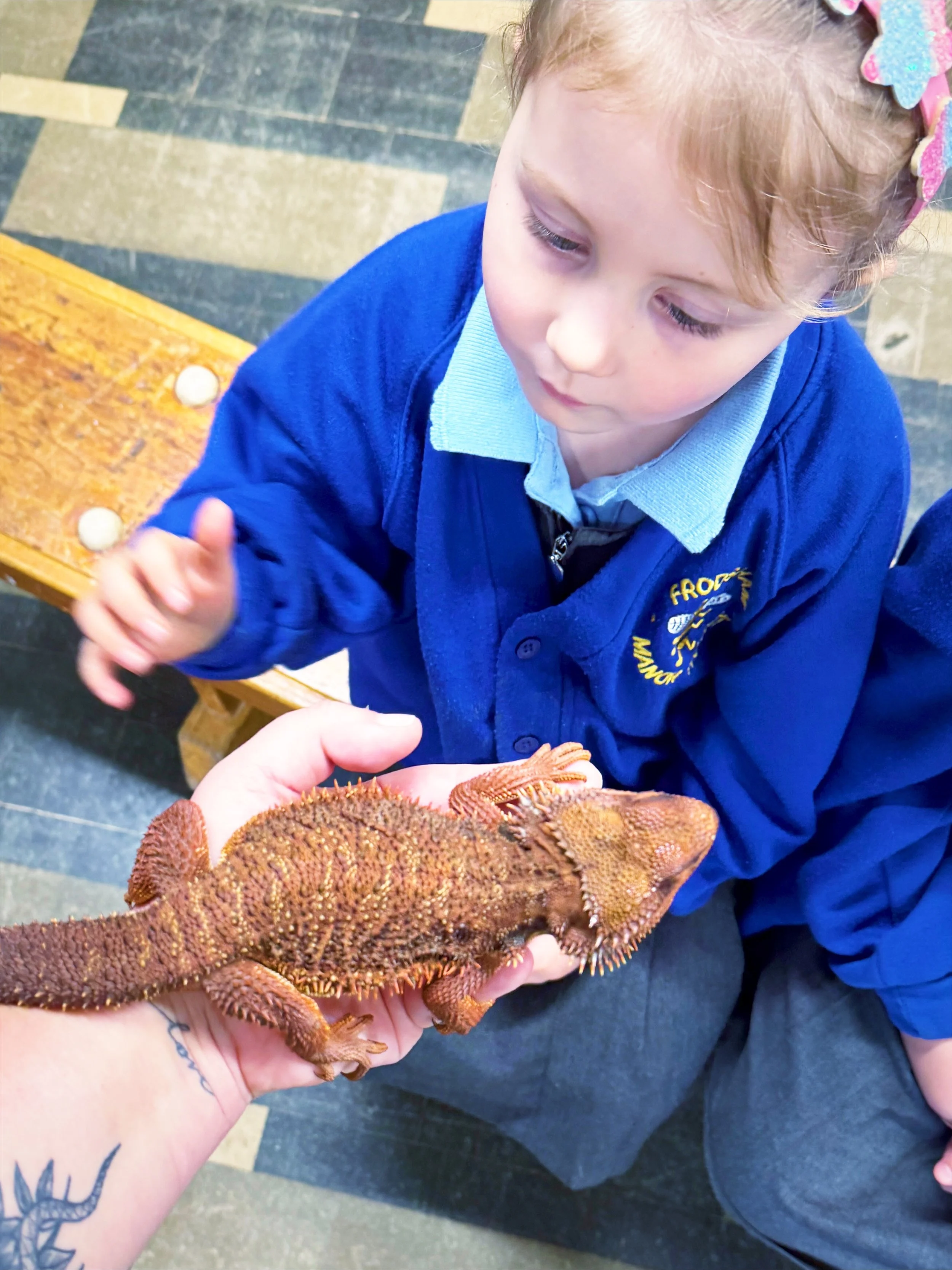 England national curriculum science workshop options – Scaly Safari