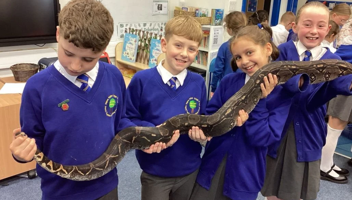 🦎 Reptile Workshops and SEND: Creating Inclusive Learning Experiences in Schools