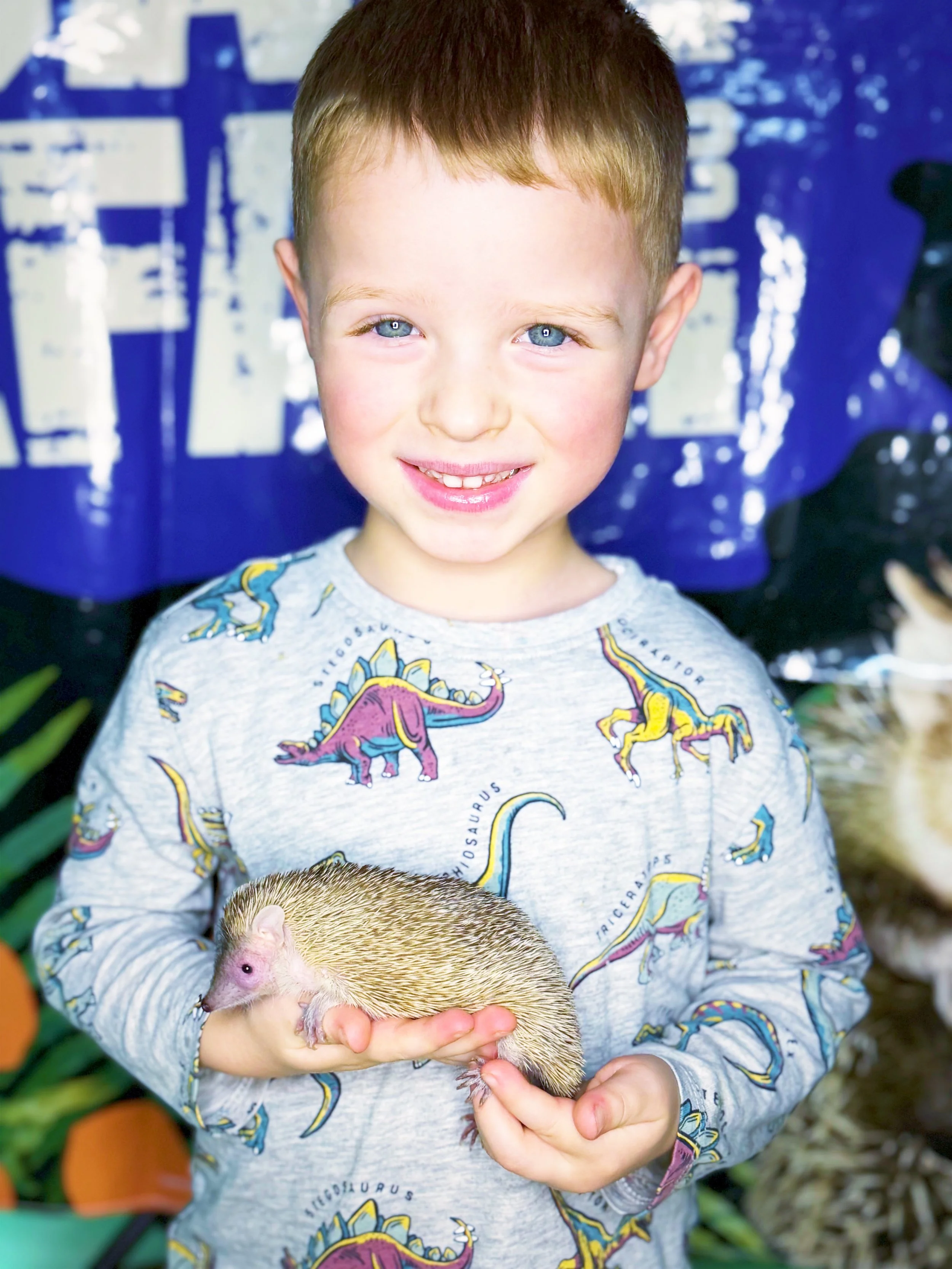 🦎 The Best (and Worst) Exotic Pets for Kids (According to us)