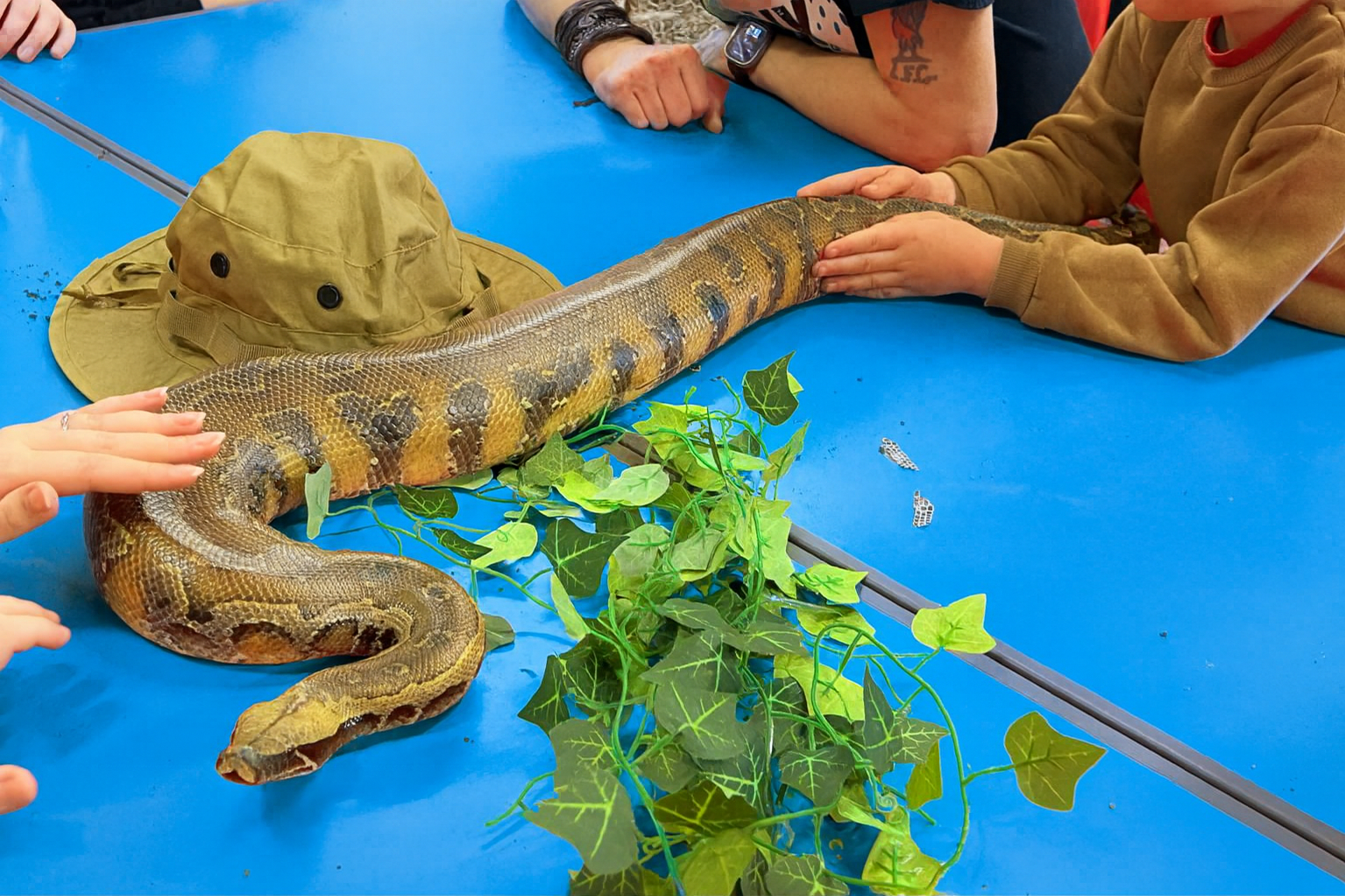 Large snake being safely handled by students during an educational reptile workshop, demonstrating calm interaction and hands-on science learning.