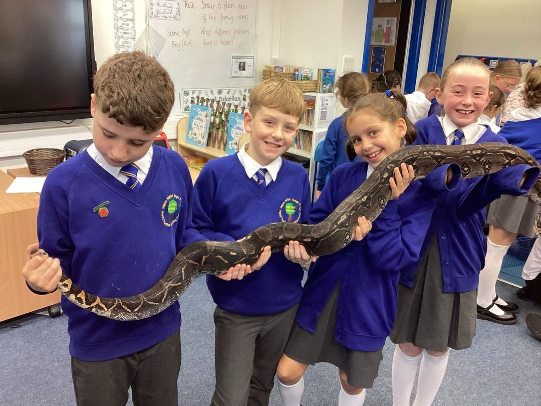 Primary school children observing a snake during Scaly Safari workshop