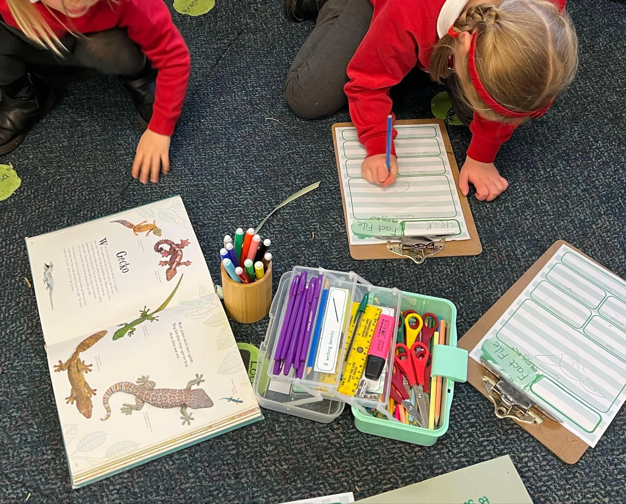 Primary school children with activities during Scaly Safari workshop