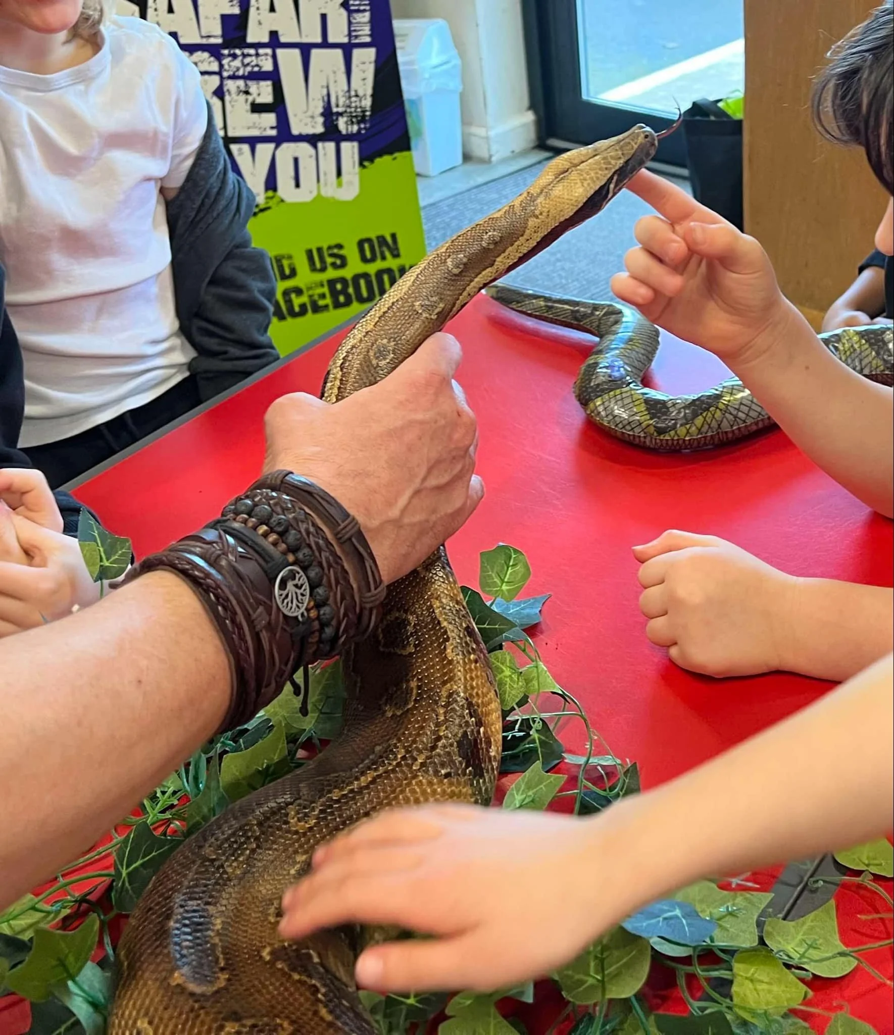 Primary school children with reptiles during Scaly Safari workshop