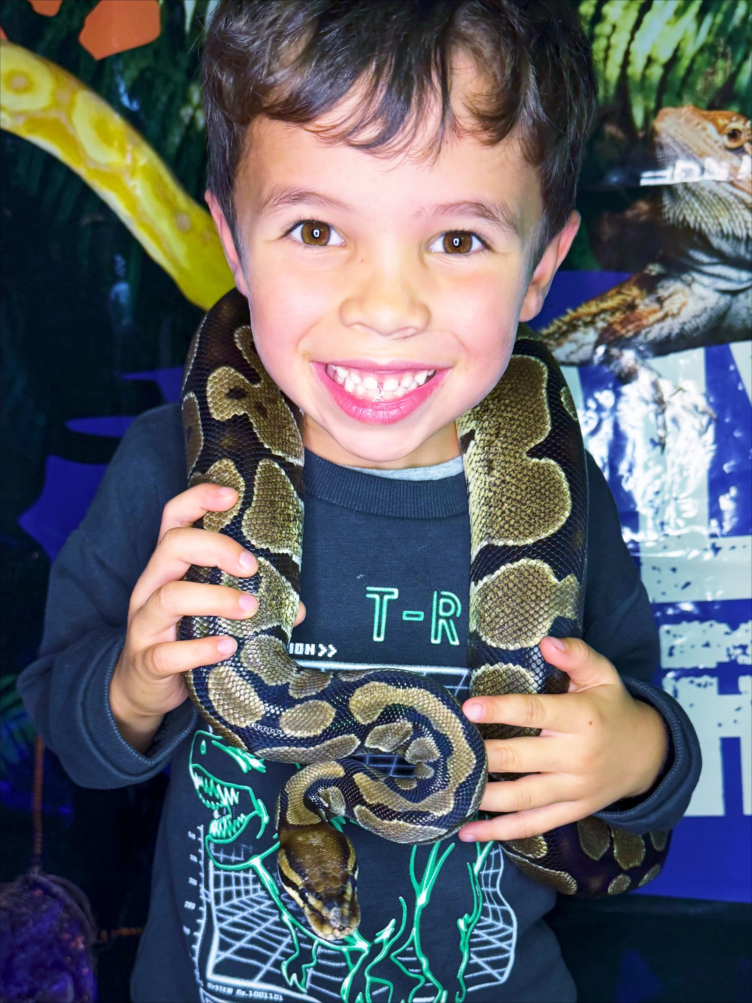 From Shedding to Stride: Leaving the Year of the Snake and Entering the Year of the Horse