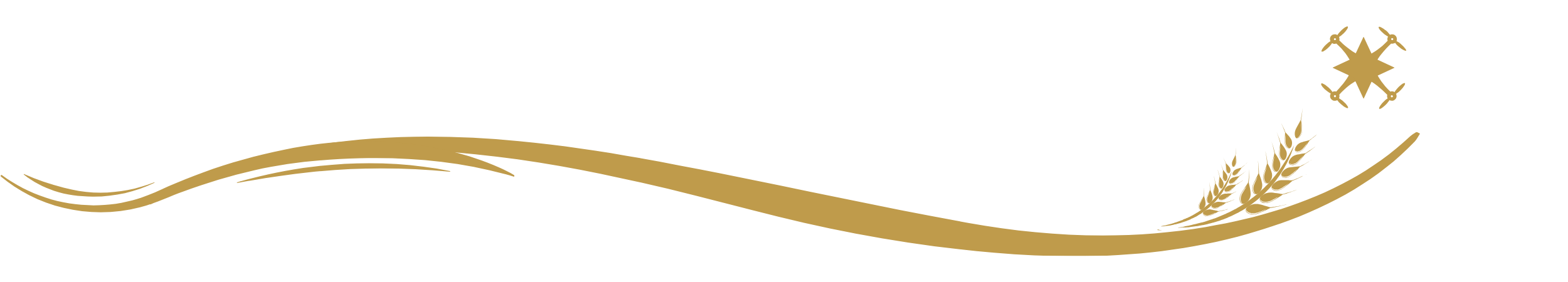 Decorative design with wheat stalks, swirling lines, and a small geometric star pattern in gold on a black background.